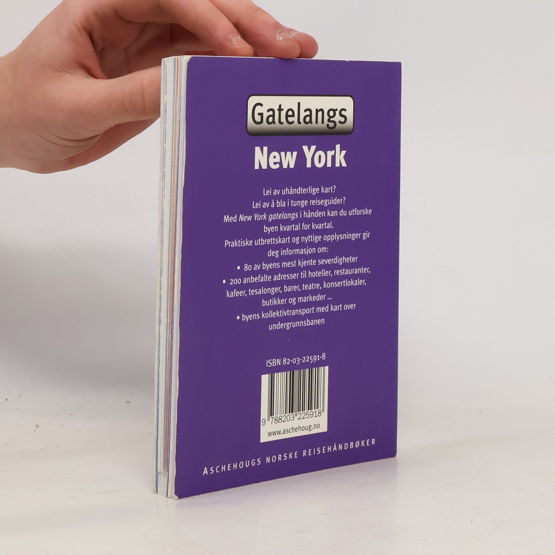 Autores varios Gatelangs New York