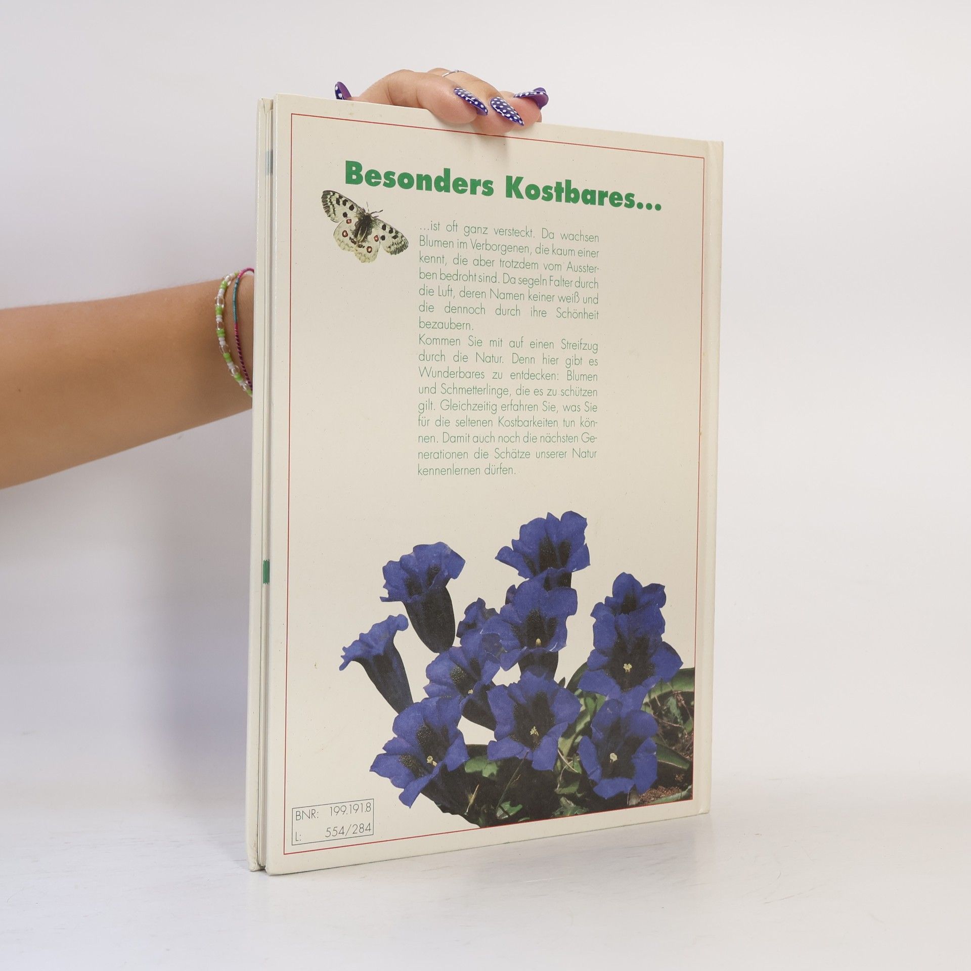 Various authors Blumen und Schmetterlinge unserer Heimat