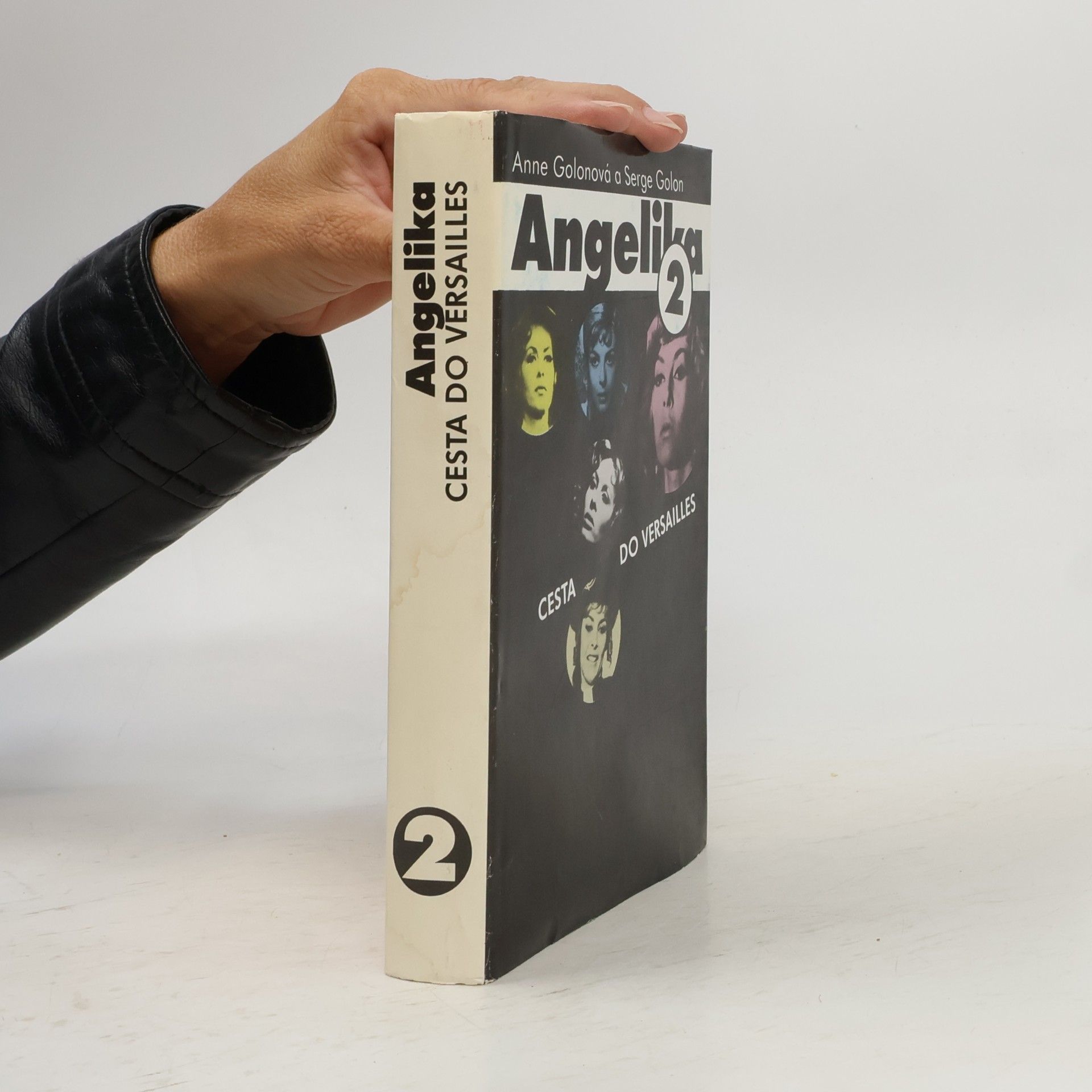 Anne Golon Angelika. Cesta do Versailles. 2. díl