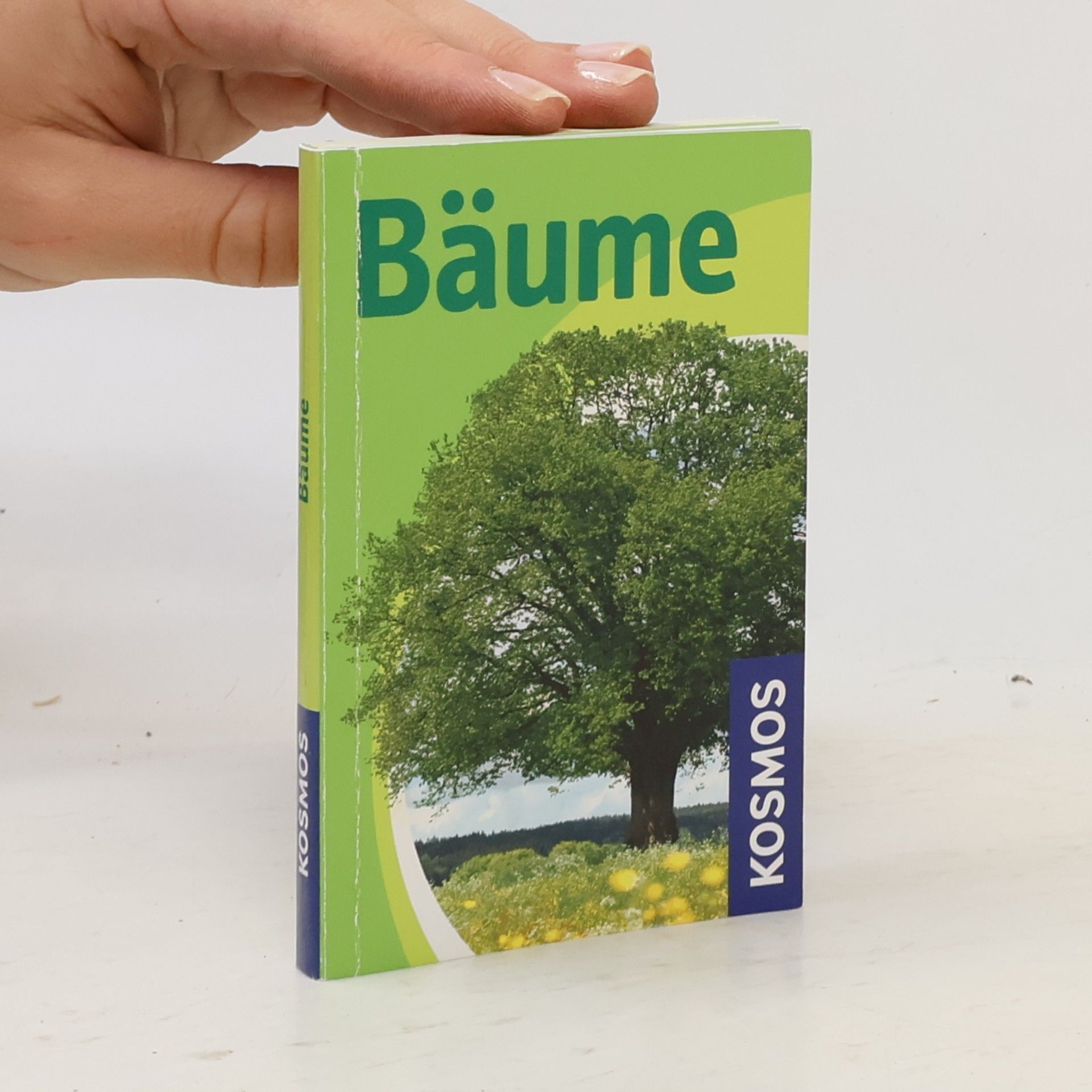Holger Haag Bäume