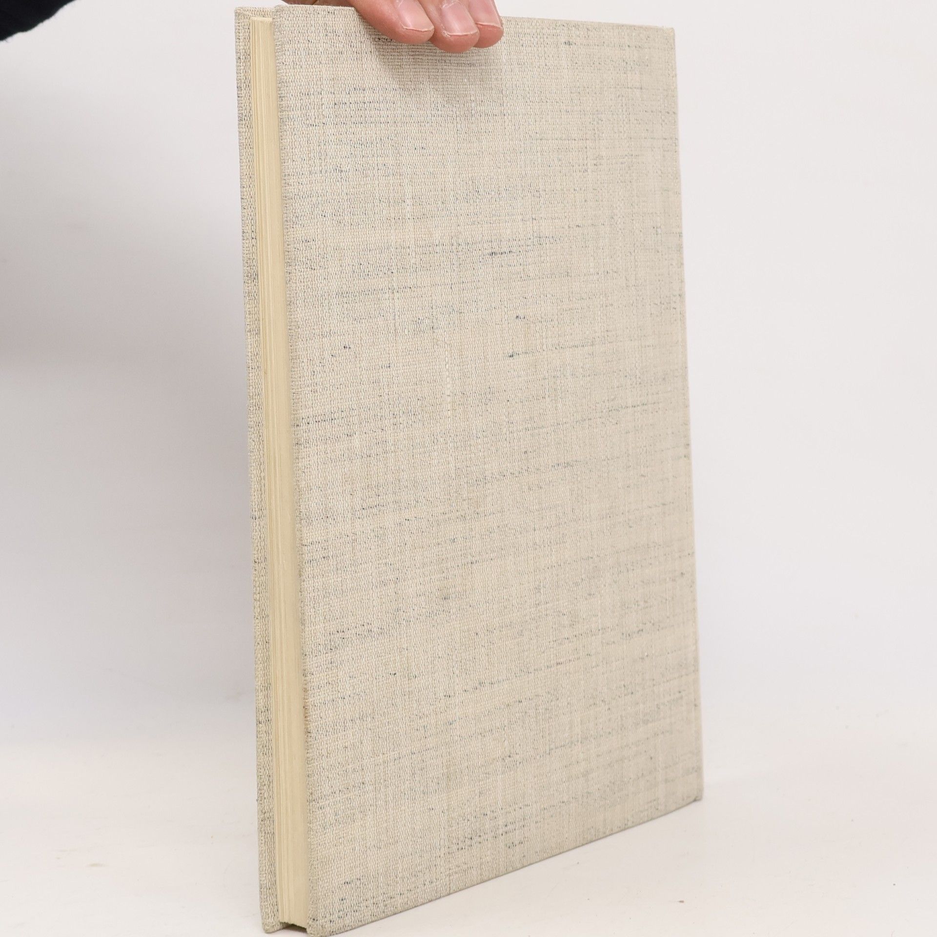 Ludvík Páleníček Čtení o Berouně 1265-1965 : [sborník]