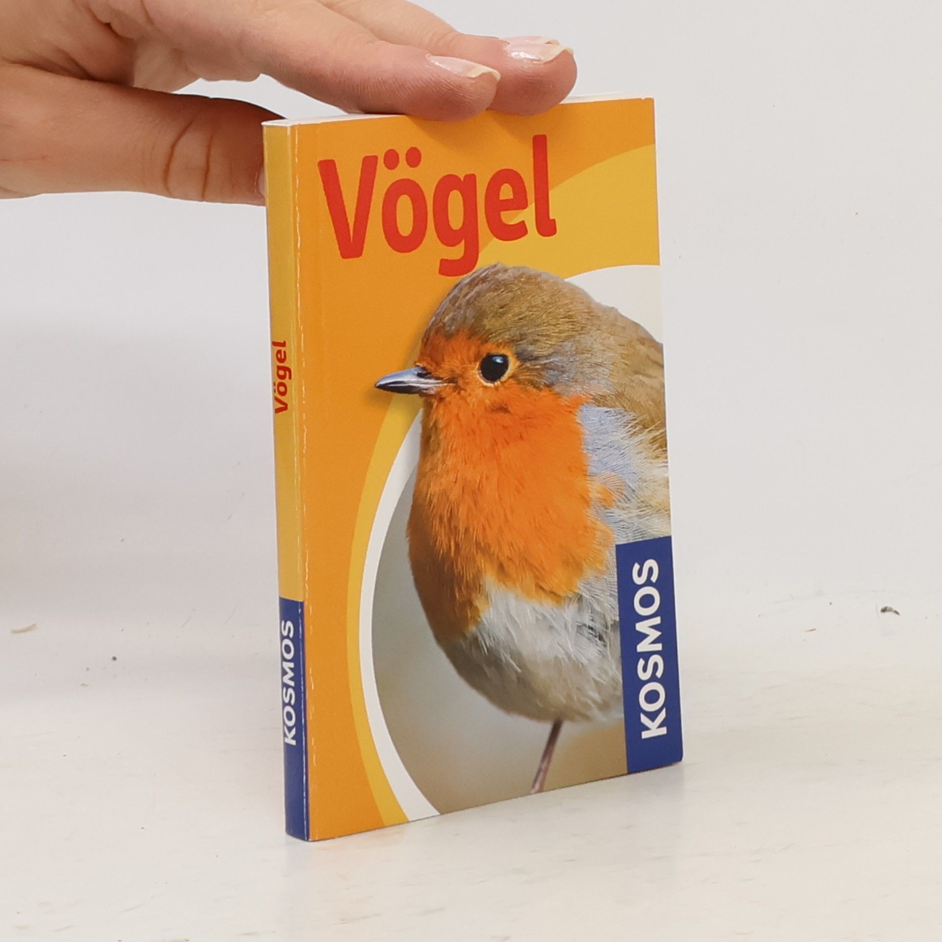 Holger Haag Vögel