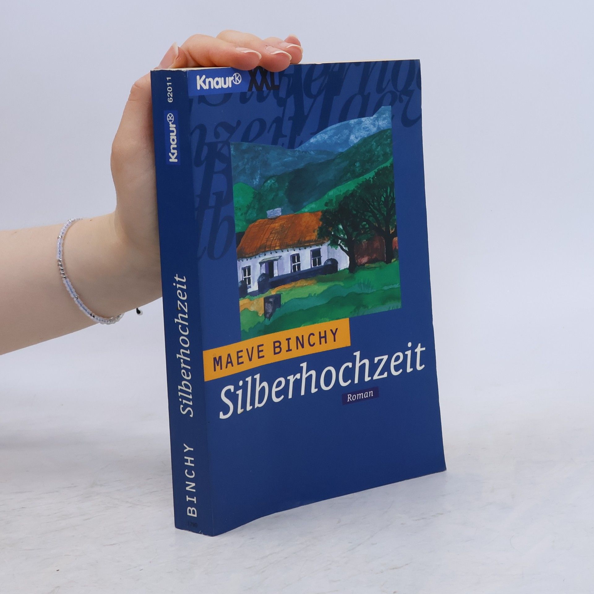 Maeve Binchy Silberhochzeit Großdruck