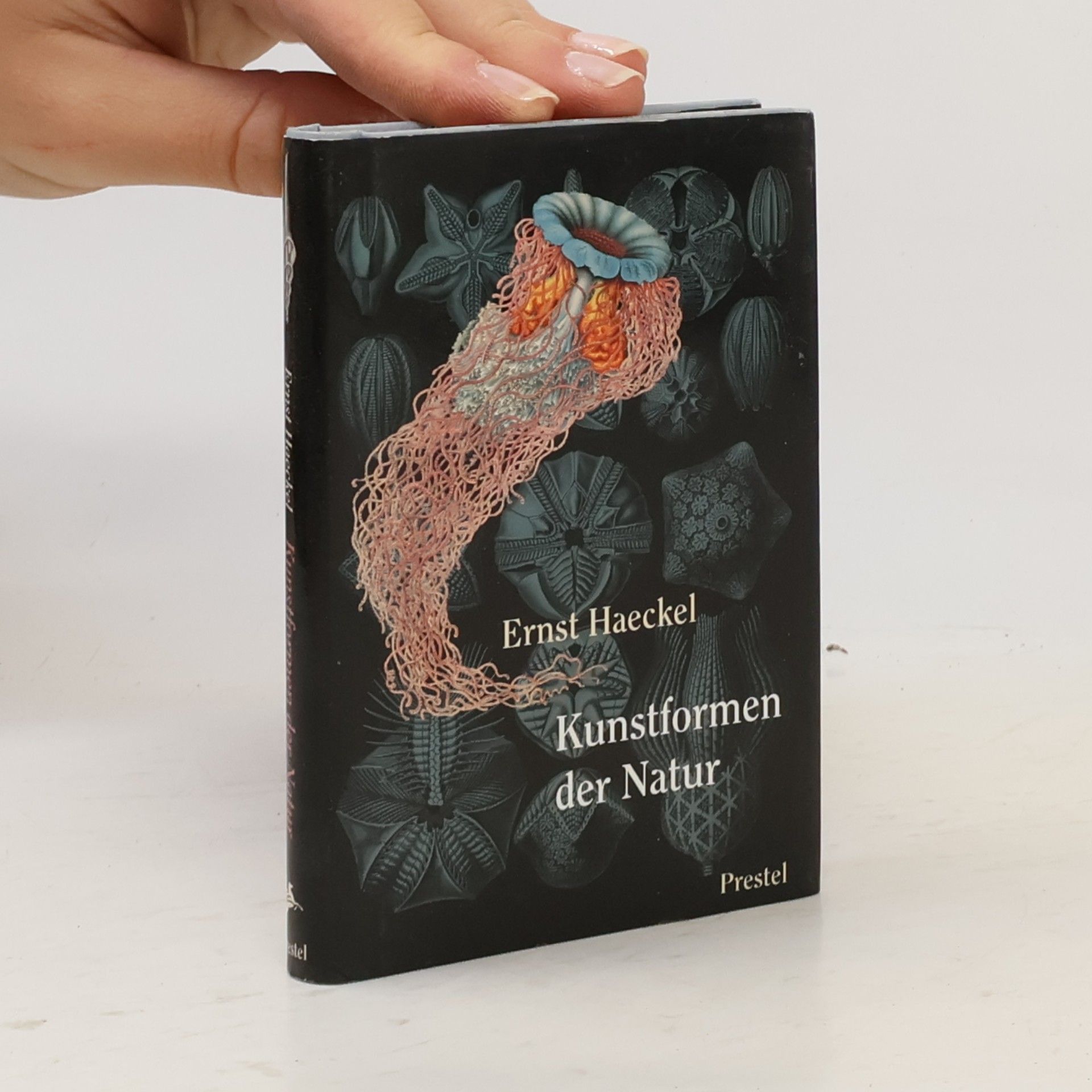 Ernst Haeckel Kunstformen der Natur