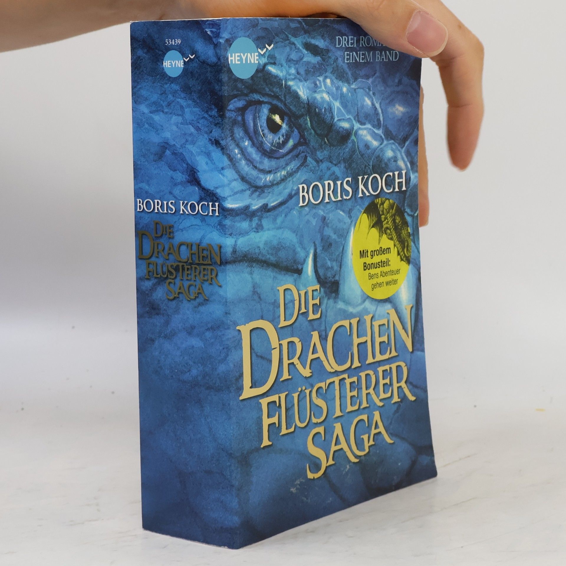 Boris Koch Die Drachenflüsterer-Saga