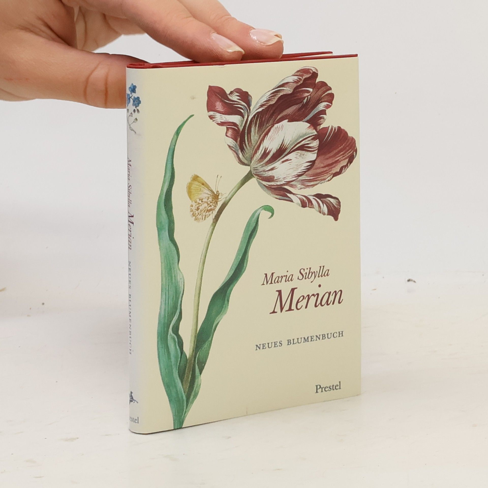 Maria Sibylla Merian Neues Blumenbuch