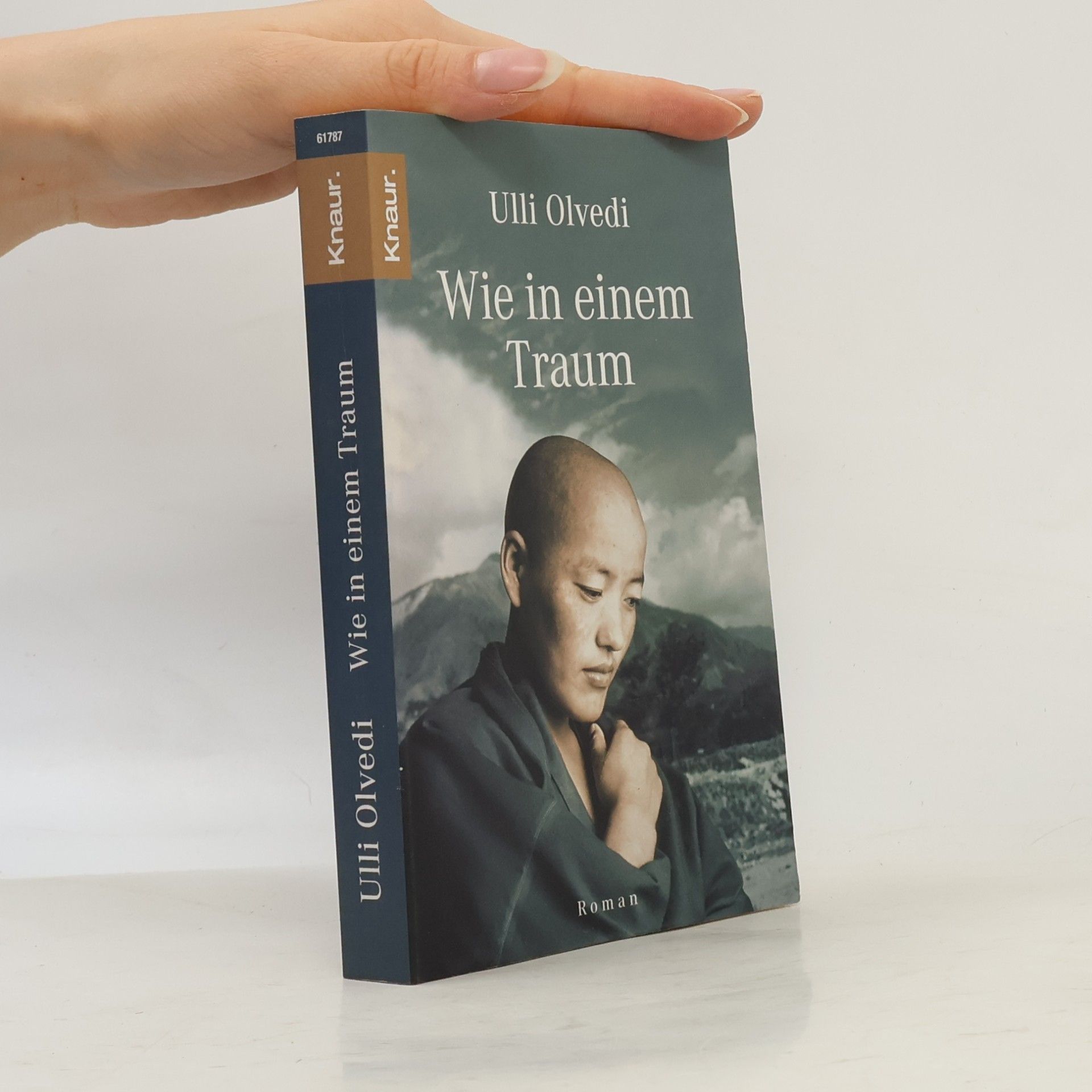Ulli Olvedi Wie in einem Traum