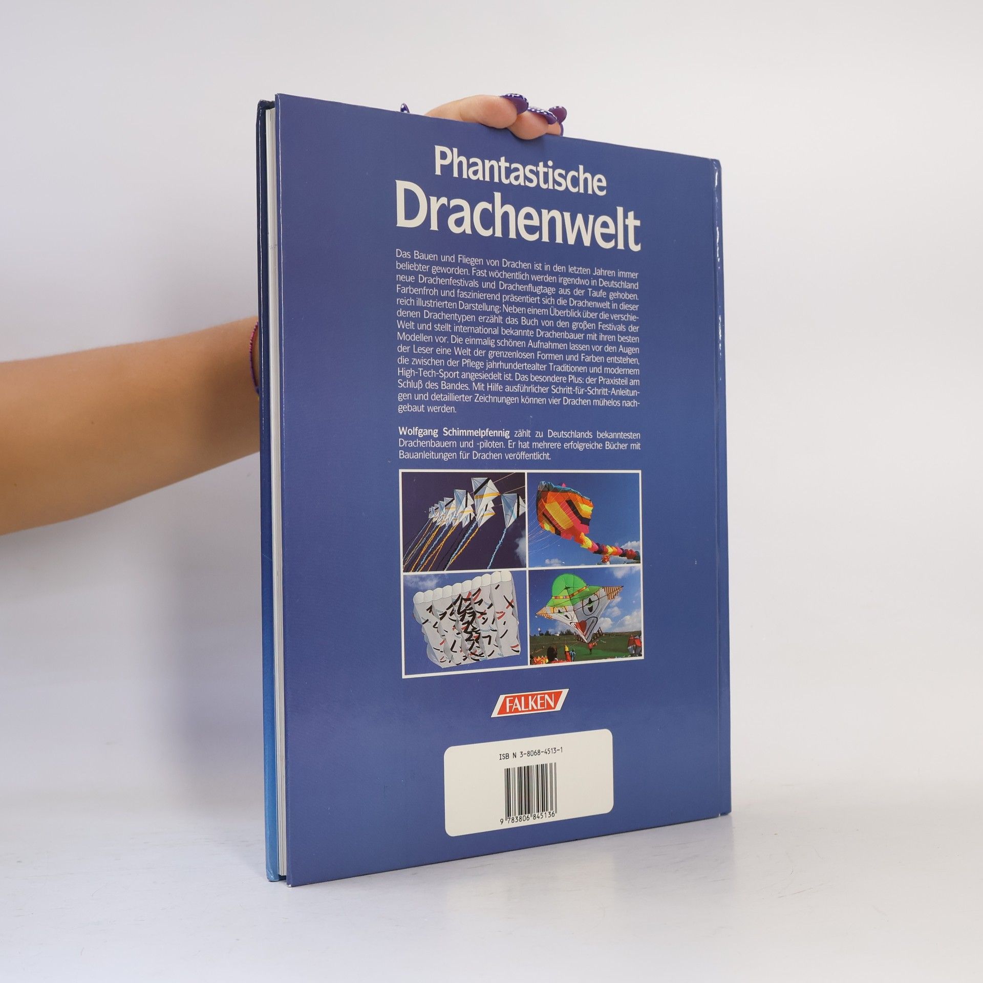 Wolfgang Schimmelpfennig Phantastische Drachenwelt