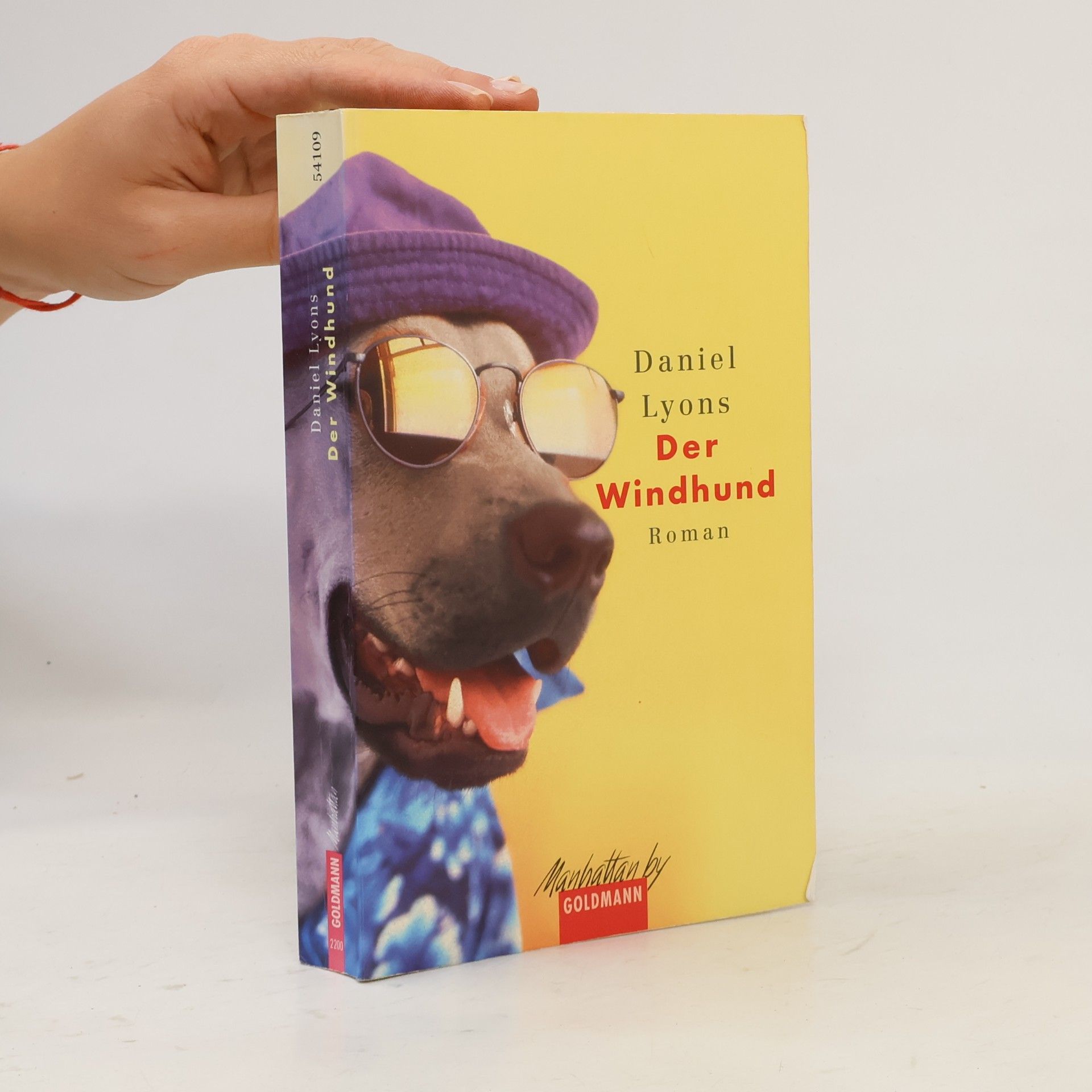 Daniel Lyons Der Windhund