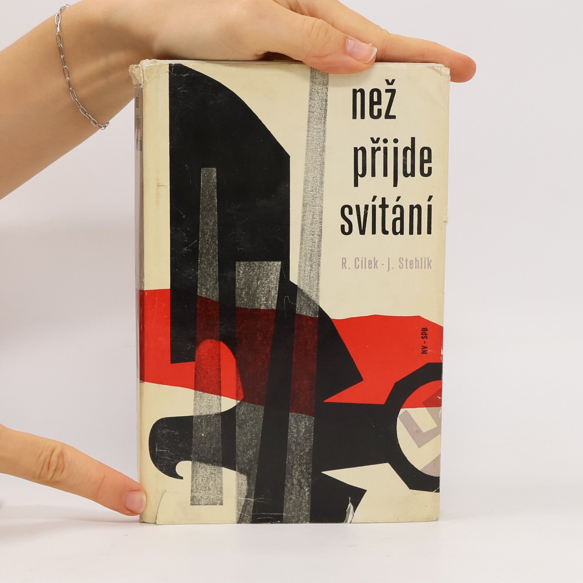 Roman Cílek Než přijde svítání