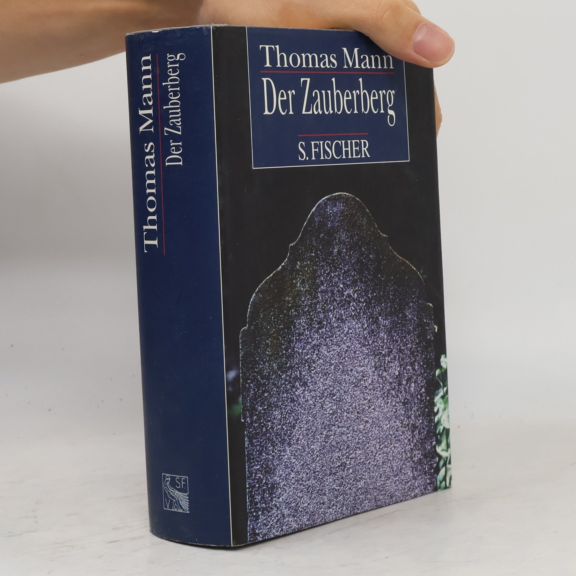 Thomas Mann Der Zauberberg