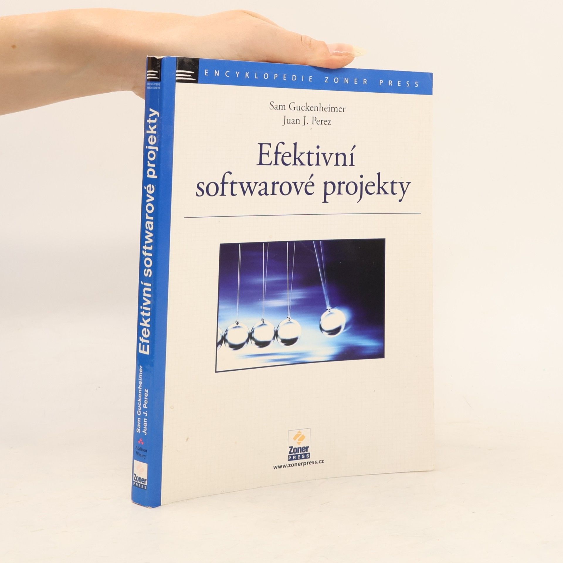 Juan J. Perez Efektivní softwarové projekty