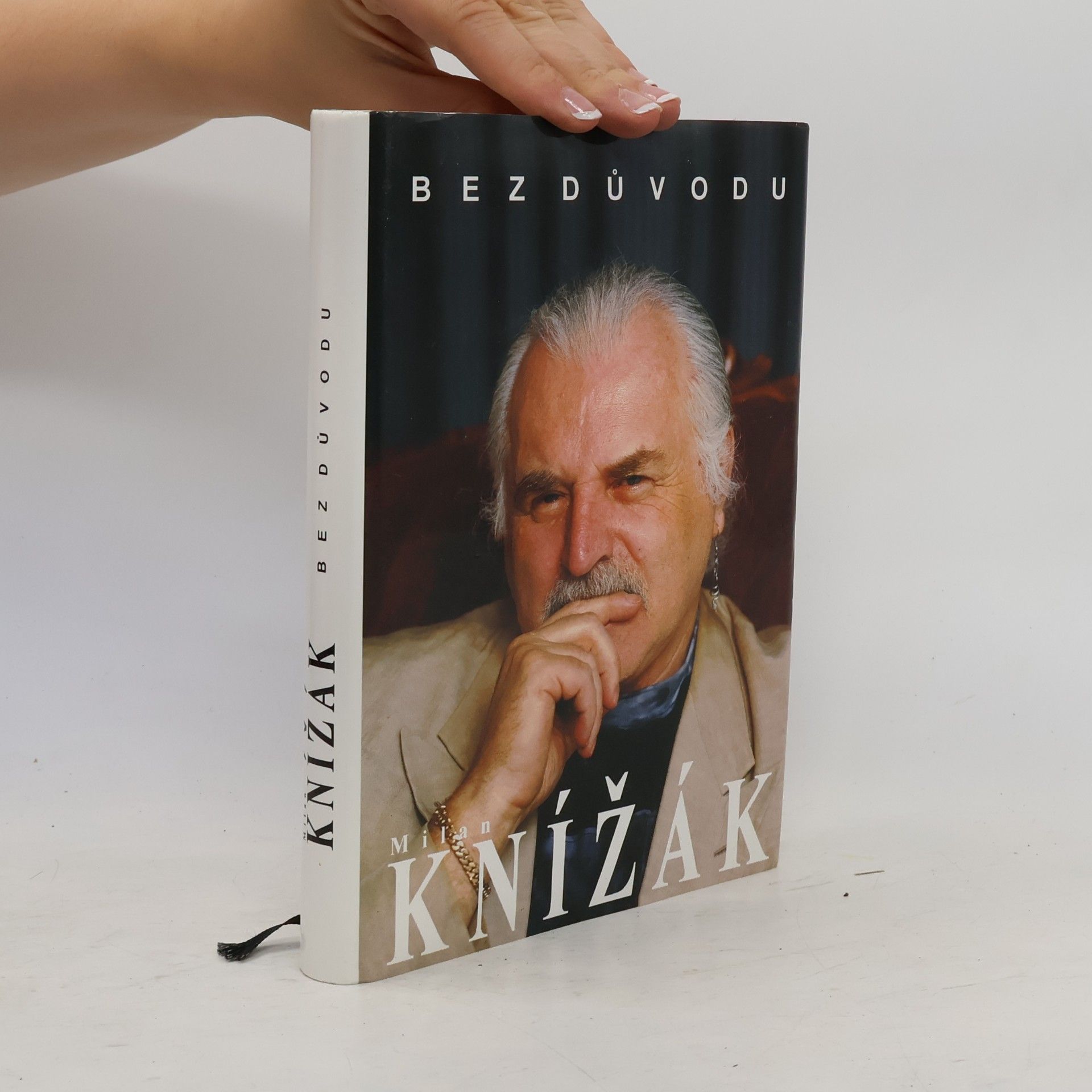 Milan Knížák Bez důvodu