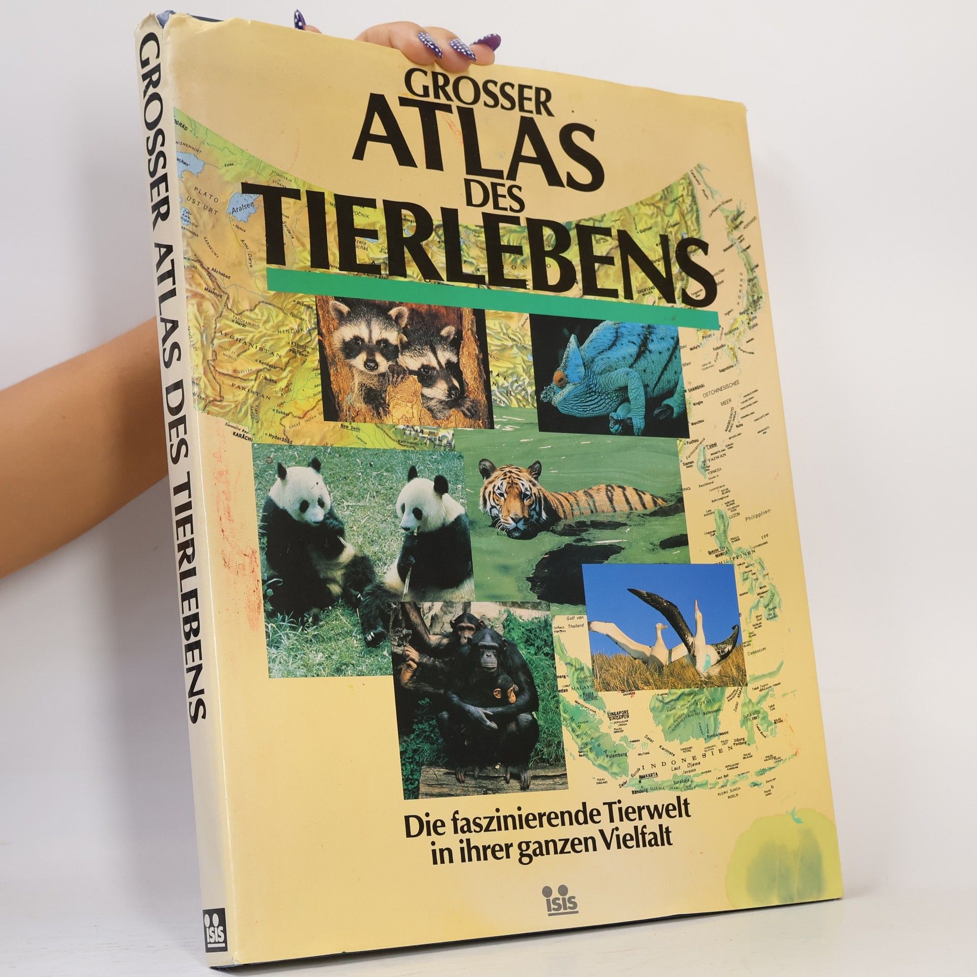 Autorenkollektiv Grosser Atlas des Tierlebens