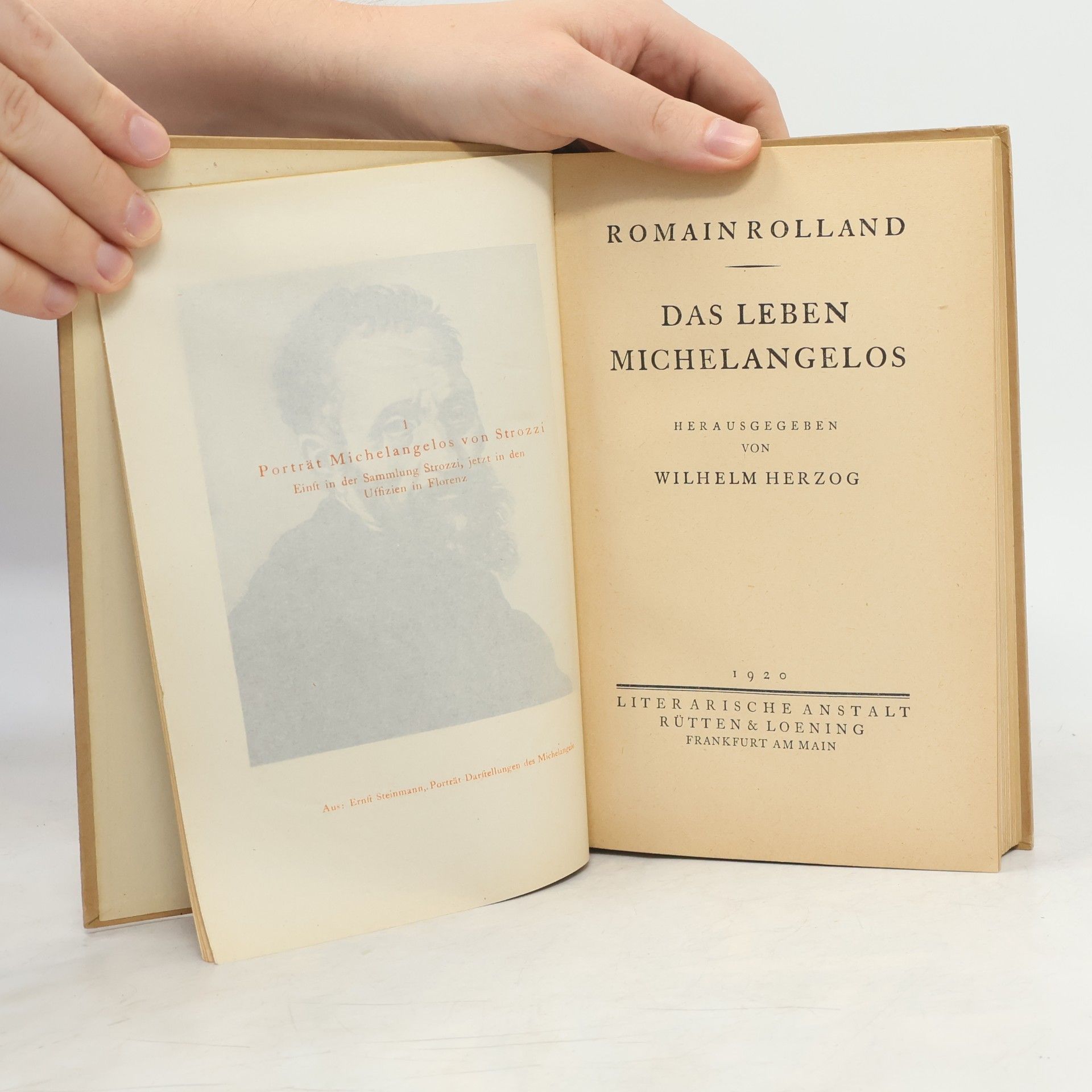 Romain Rolland Das Leben Michelangelos