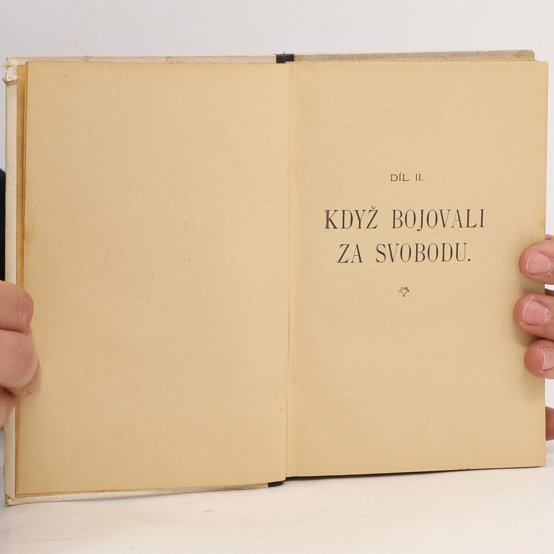 Vlasta Javořická Mezihoří II