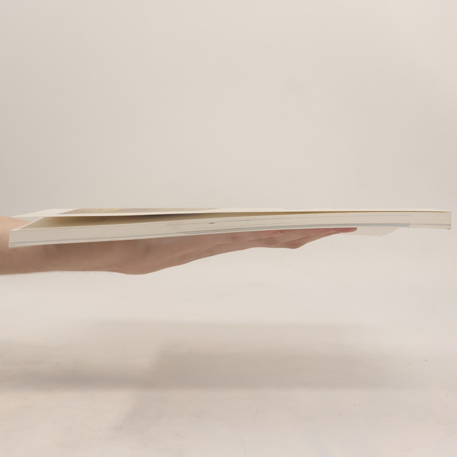 Aleš Jungmann Architekt Josef Zítek. Katalog díla