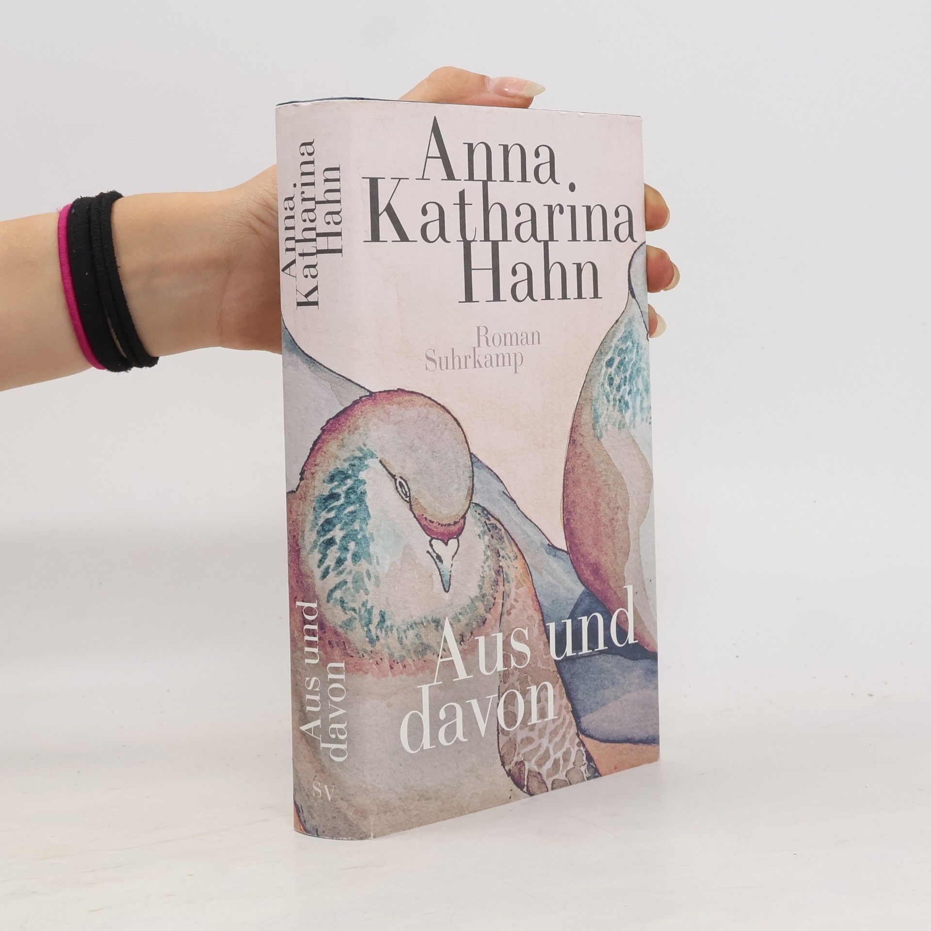 Anna Katharina Hahn Aus und davon