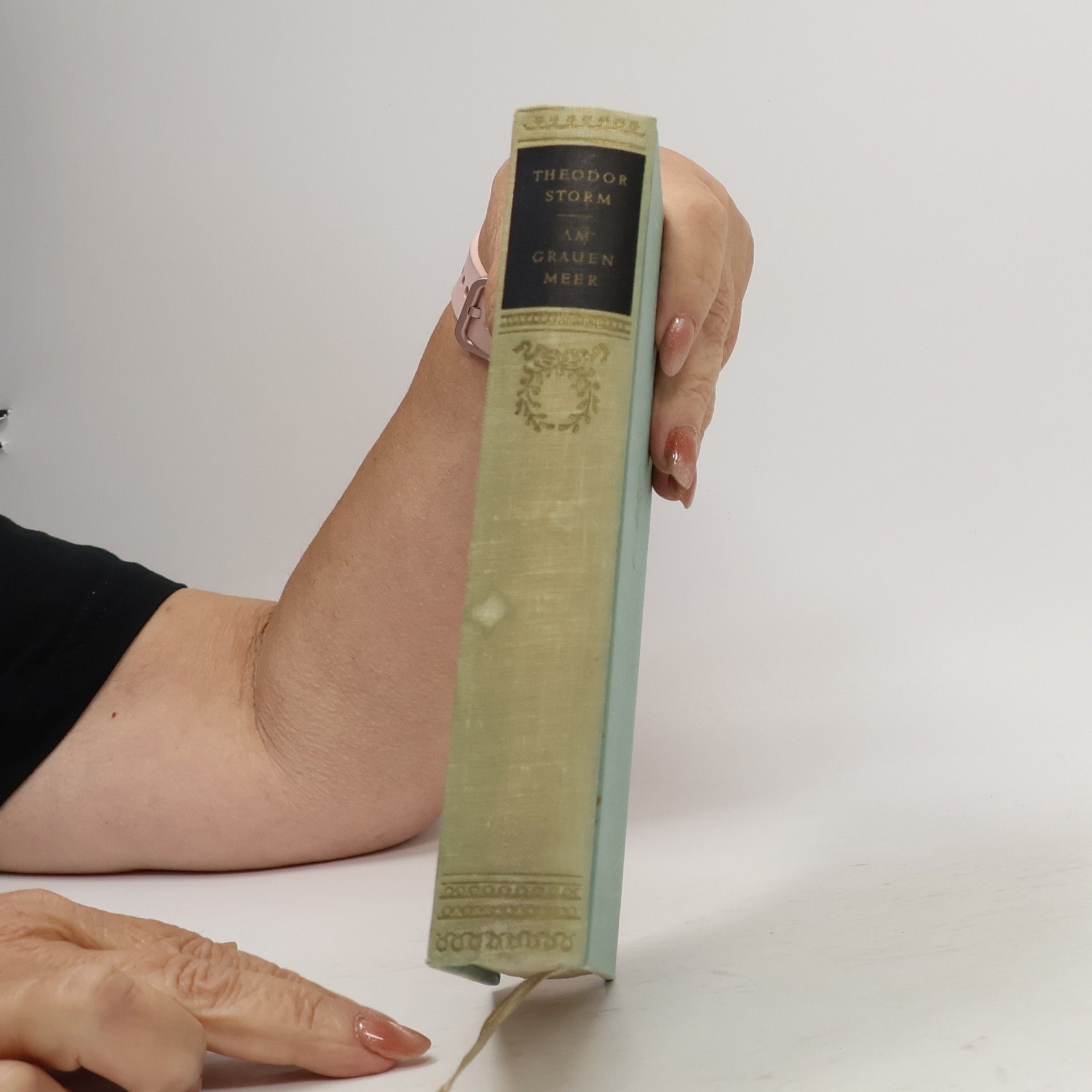 Theodor Storm Am grauen Meer