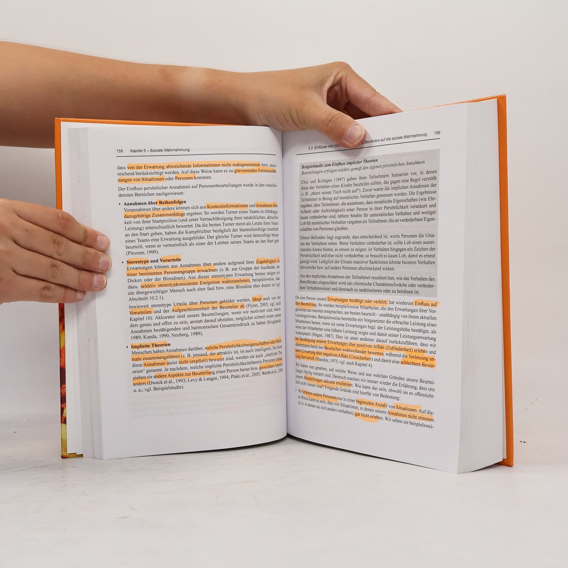 Lioba Werth Sozialpsychologie
