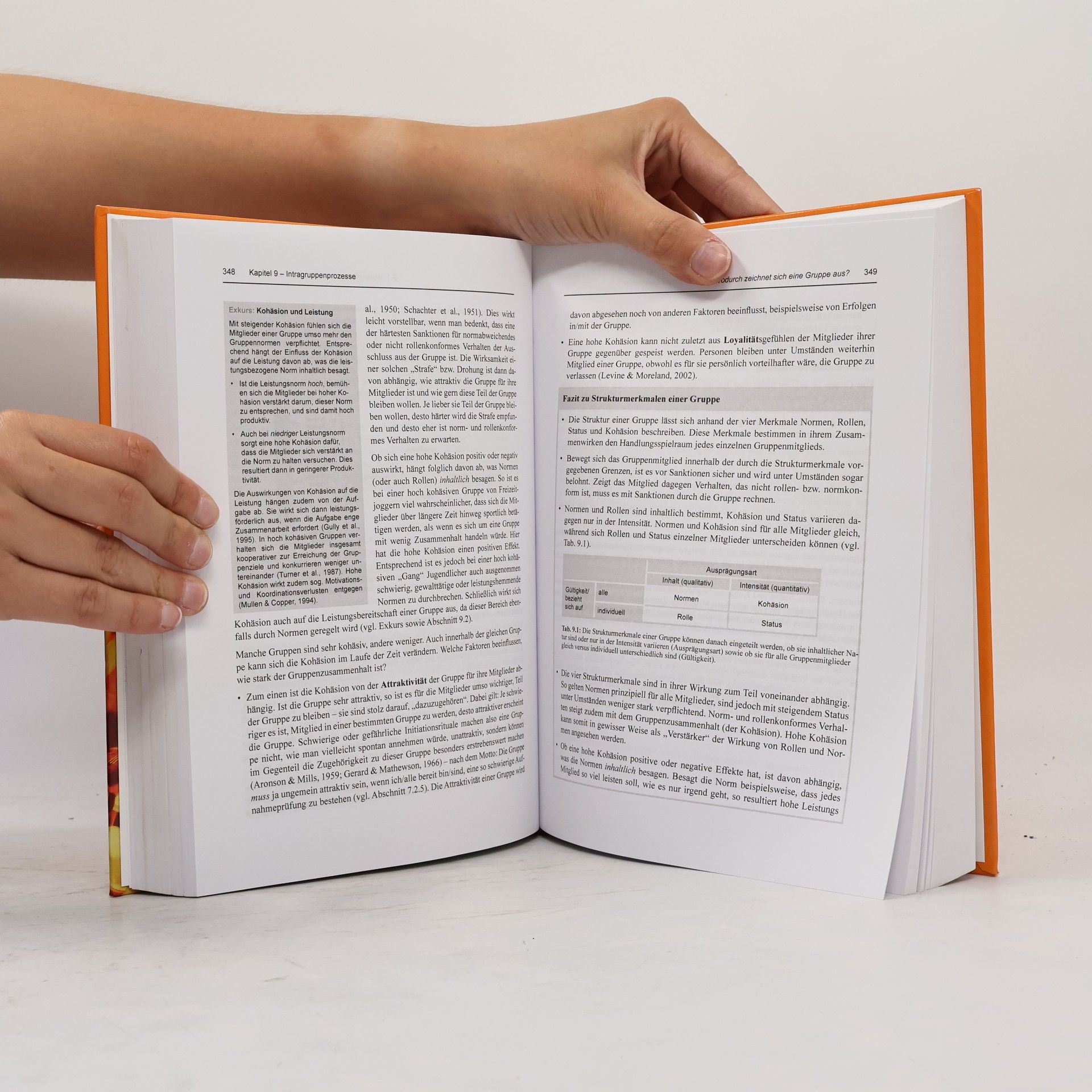 Lioba Werth Sozialpsychologie