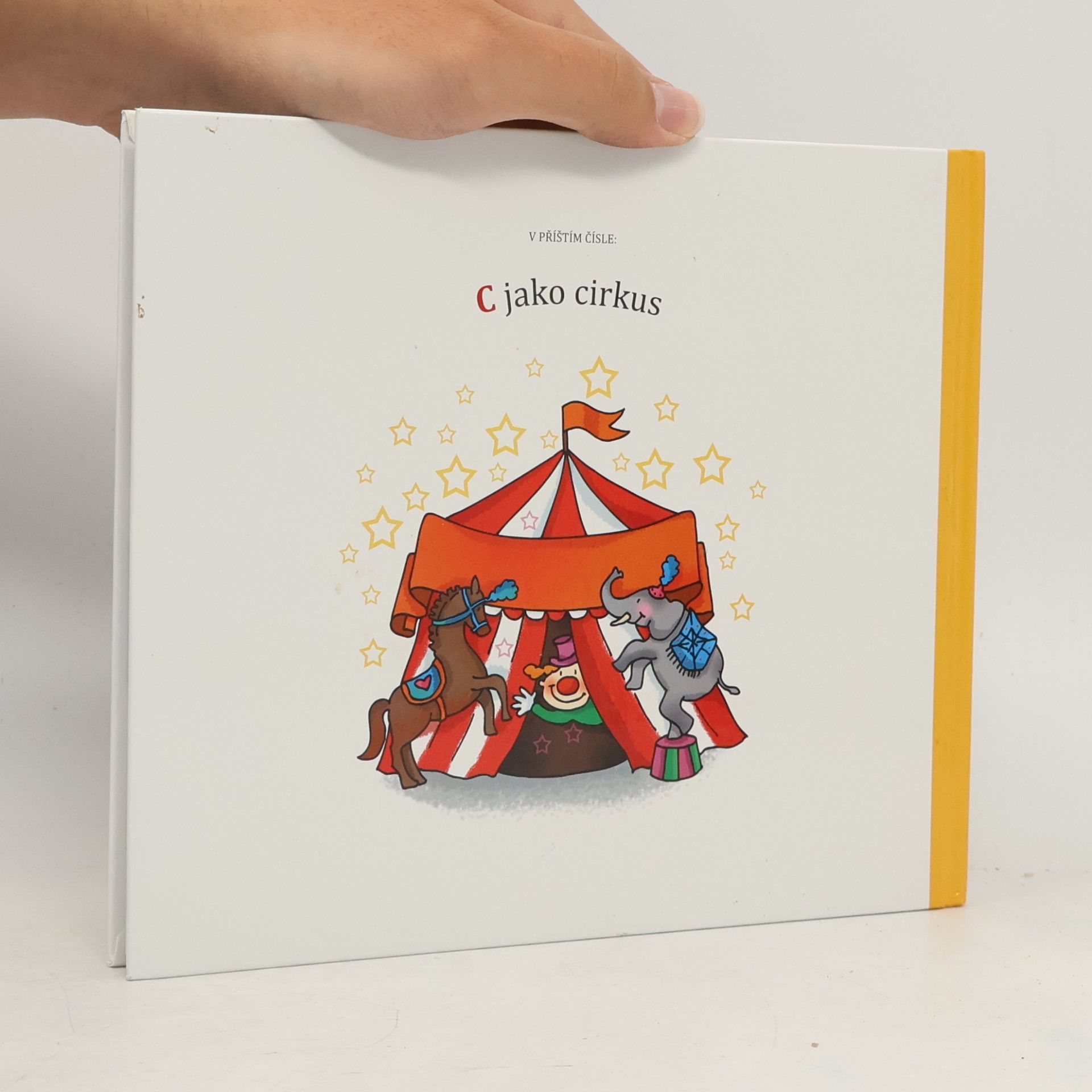 Jindřiška Ptáčková B jako Bouřka