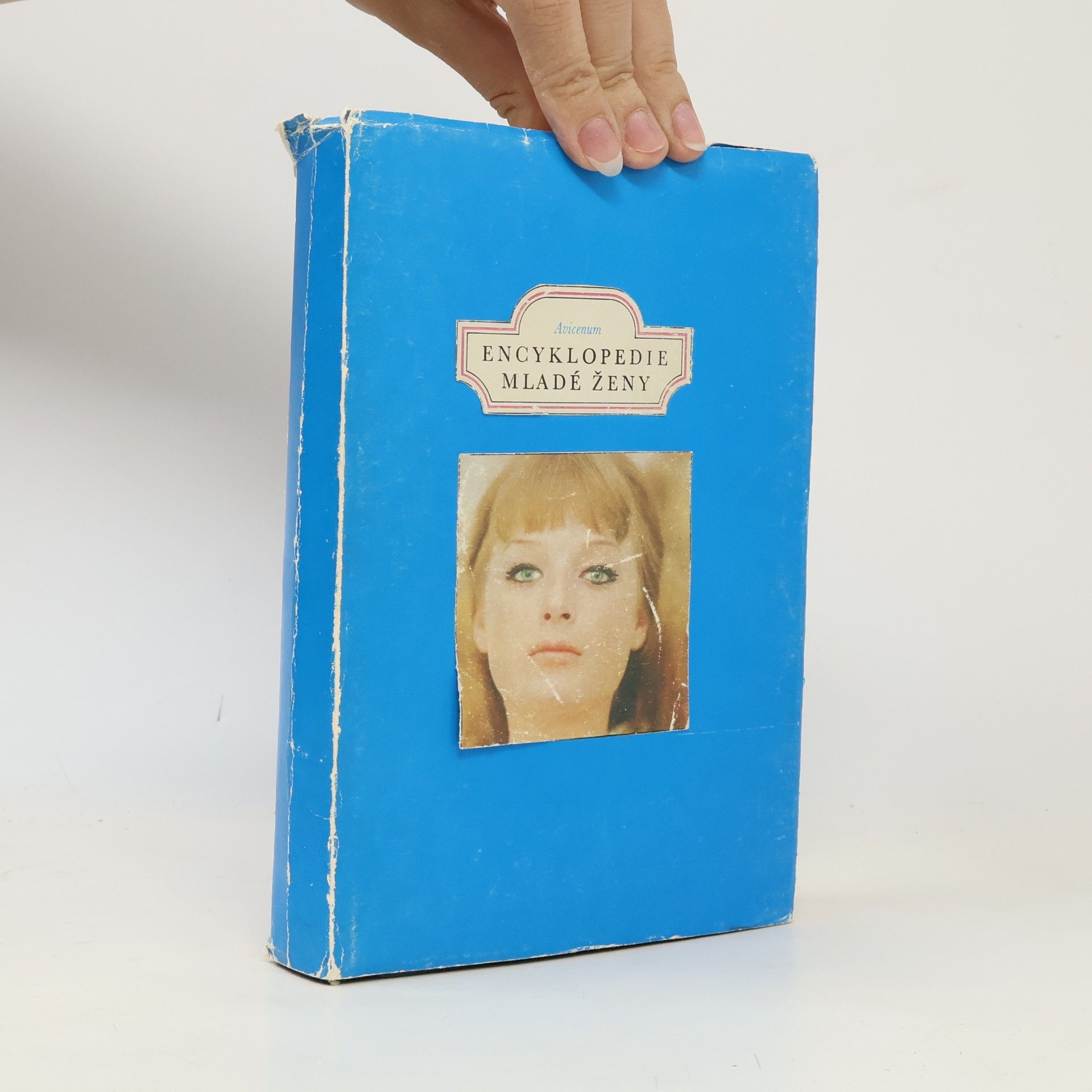 Autorenkollektiv Encyklopedie mladé ženy