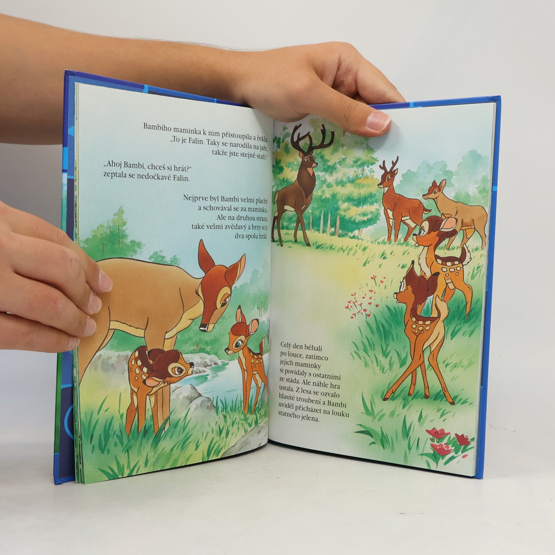 Autorenkollektiv Kouzelné pohádky 6. Bambi
