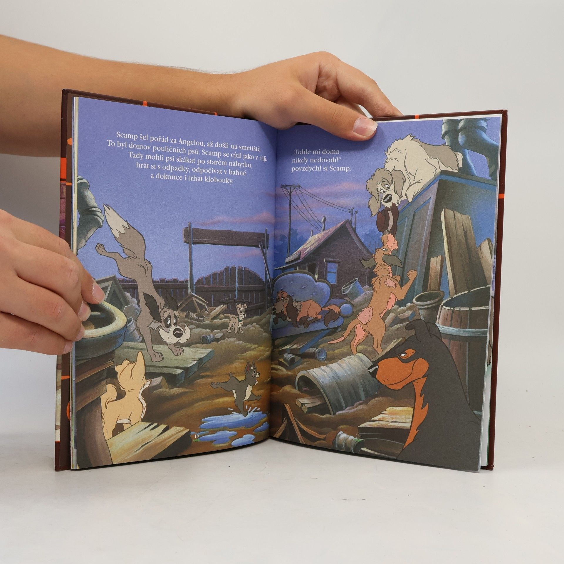 Autorenkollektiv Kouzelné pohádky 19. Lady a Tramp