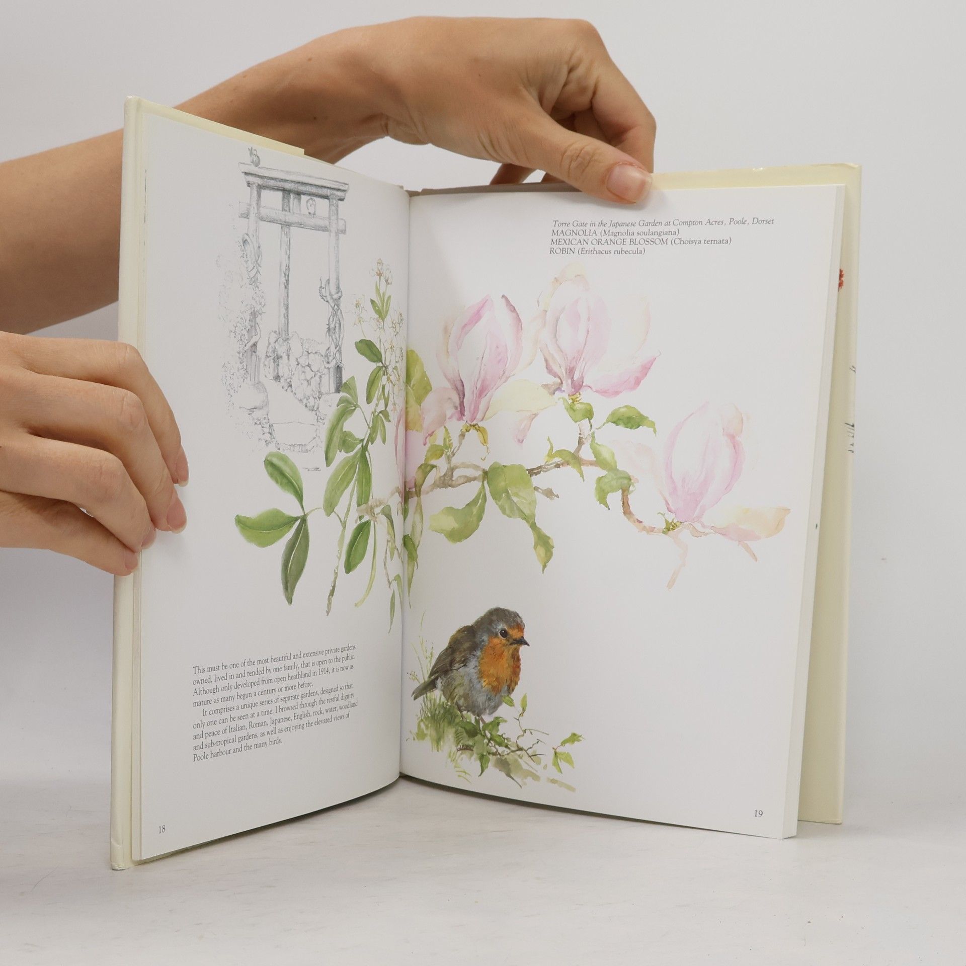 Catherine Hamilton The West Country Is a Garden