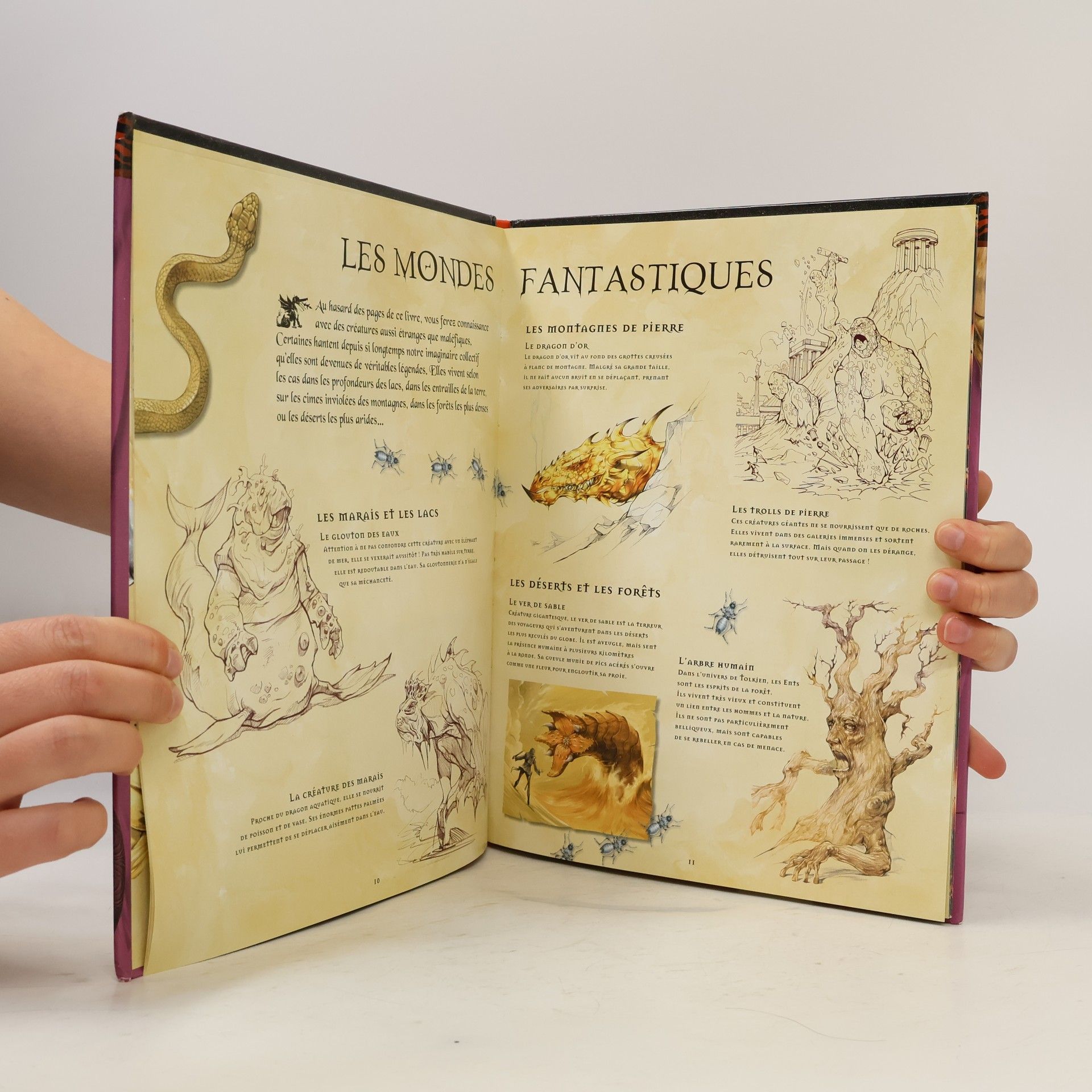 Fleurus Fantasy Art: Dessine les créatures fantasy