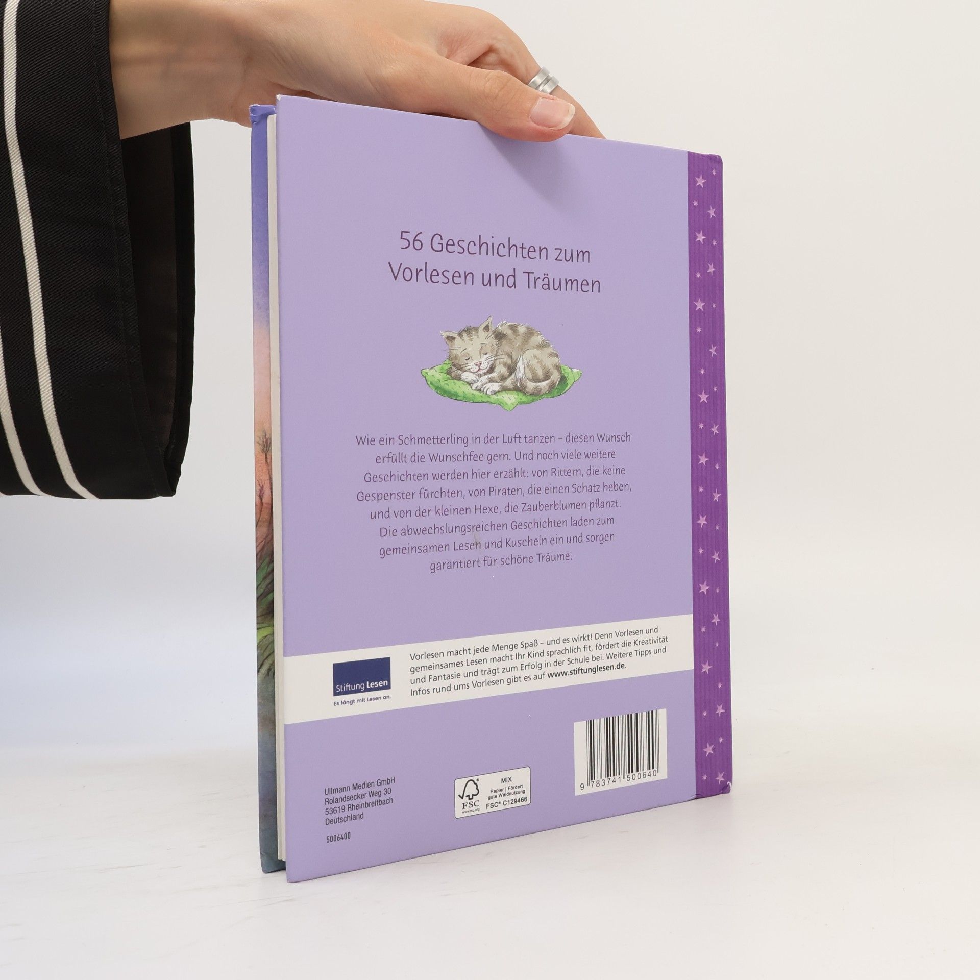 Autorenkollektiv Die Wunschfee. 56 Geschichten zum Vorlesen und Träumen