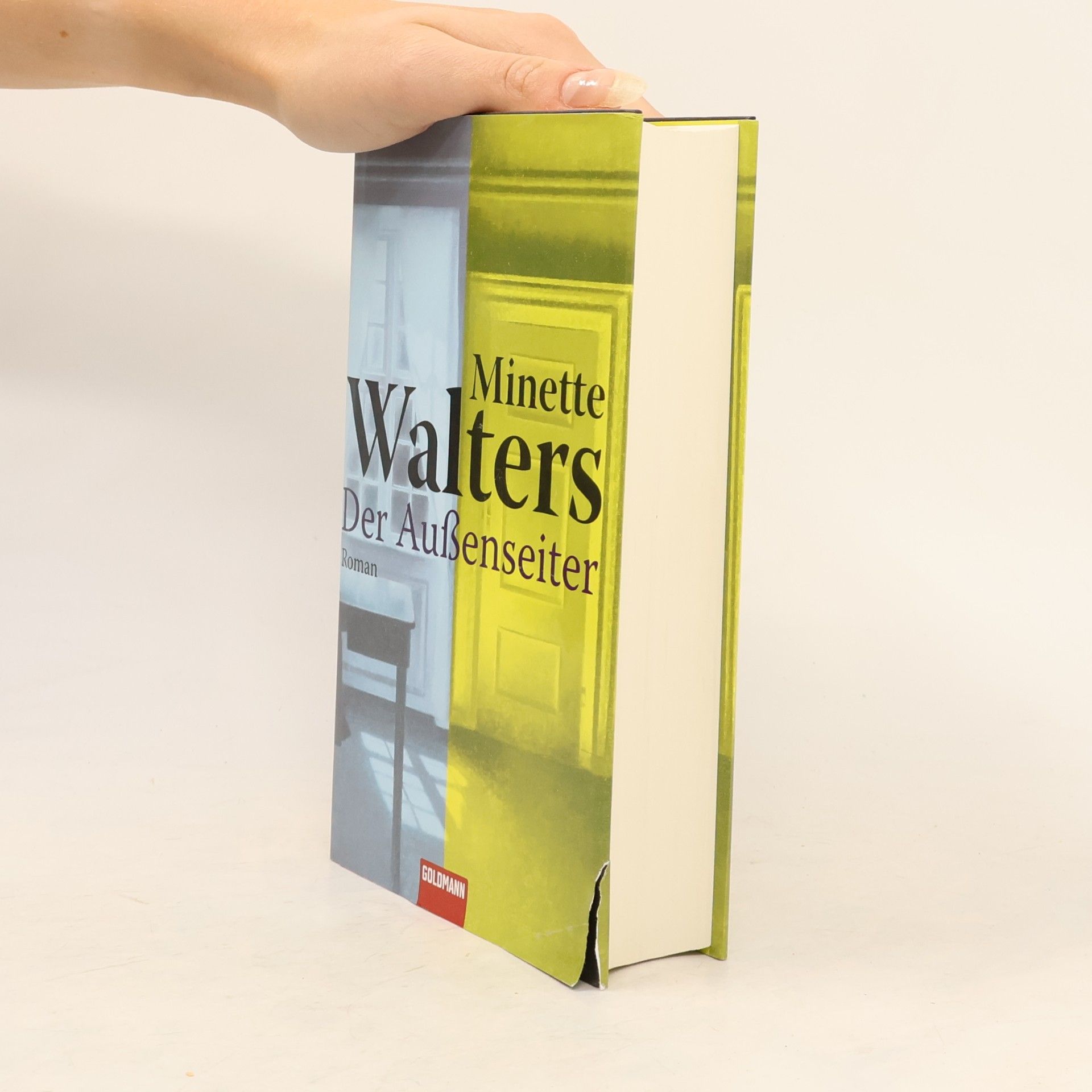 Minette Walter Der Außenseiter