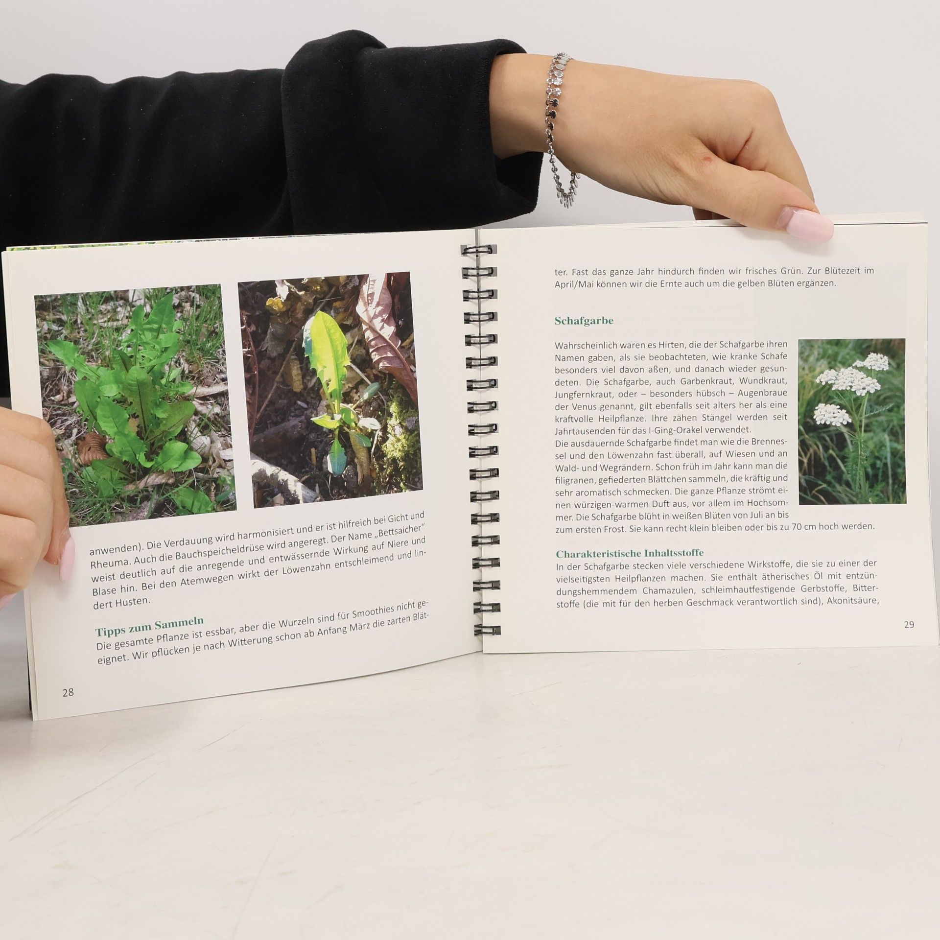 Evelyne Laye Wildkräuter-Smoothies