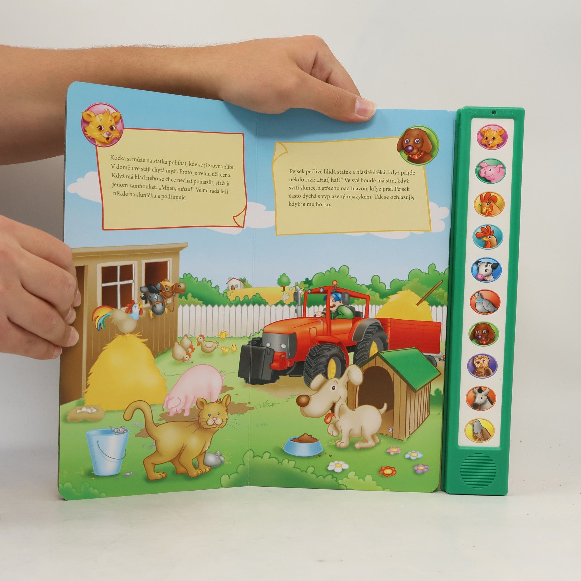 Carola von Kessel Mein Soundbuch Tierkinder