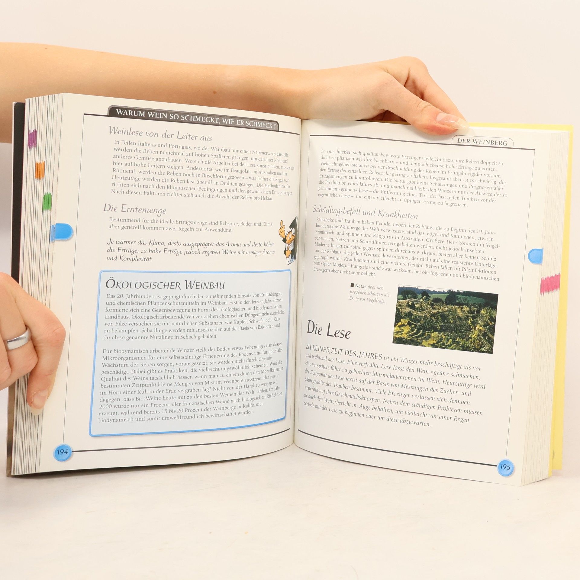 Robert Joseph Das Einsteiger-Handbuch Wein