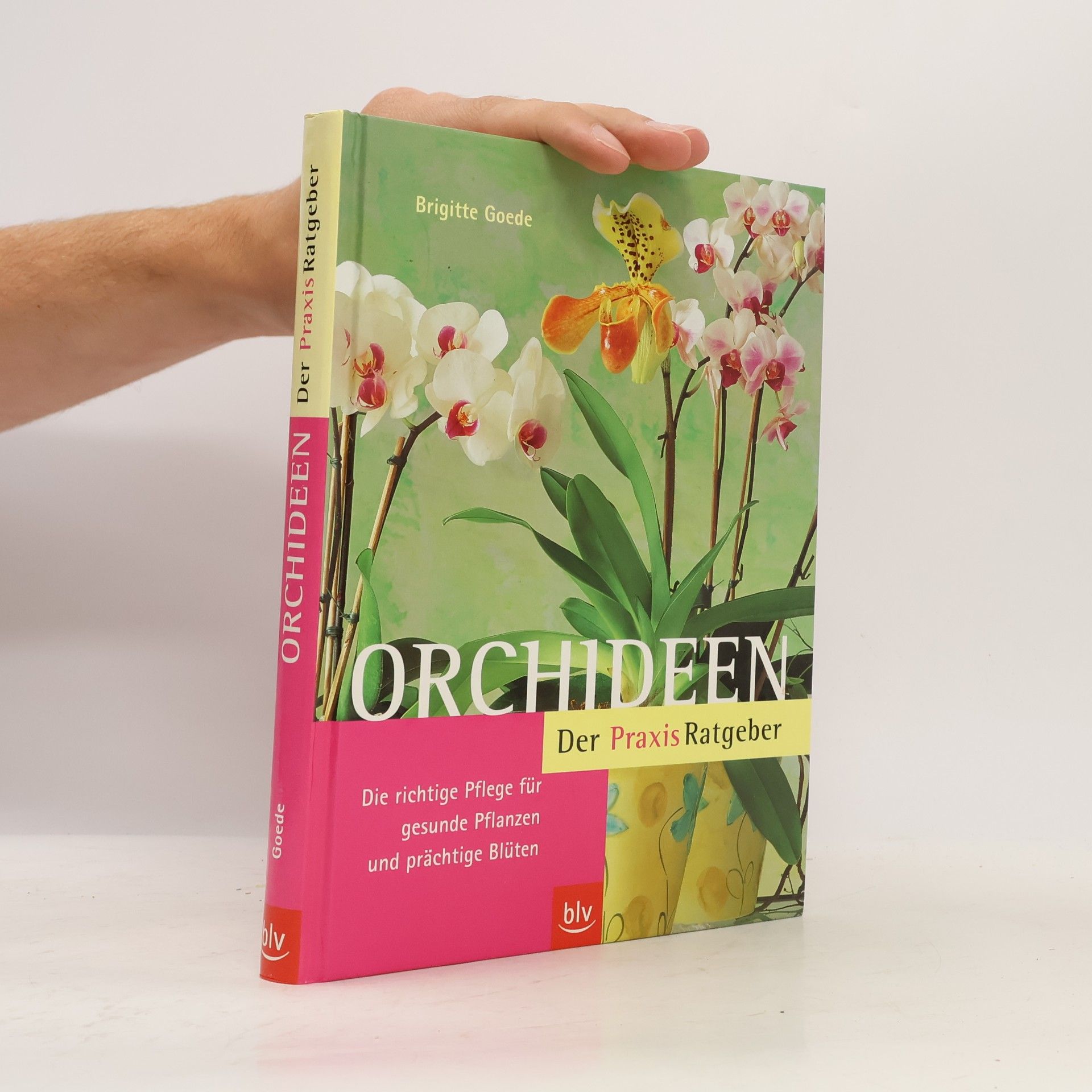 Brigitte Goede Orchideen