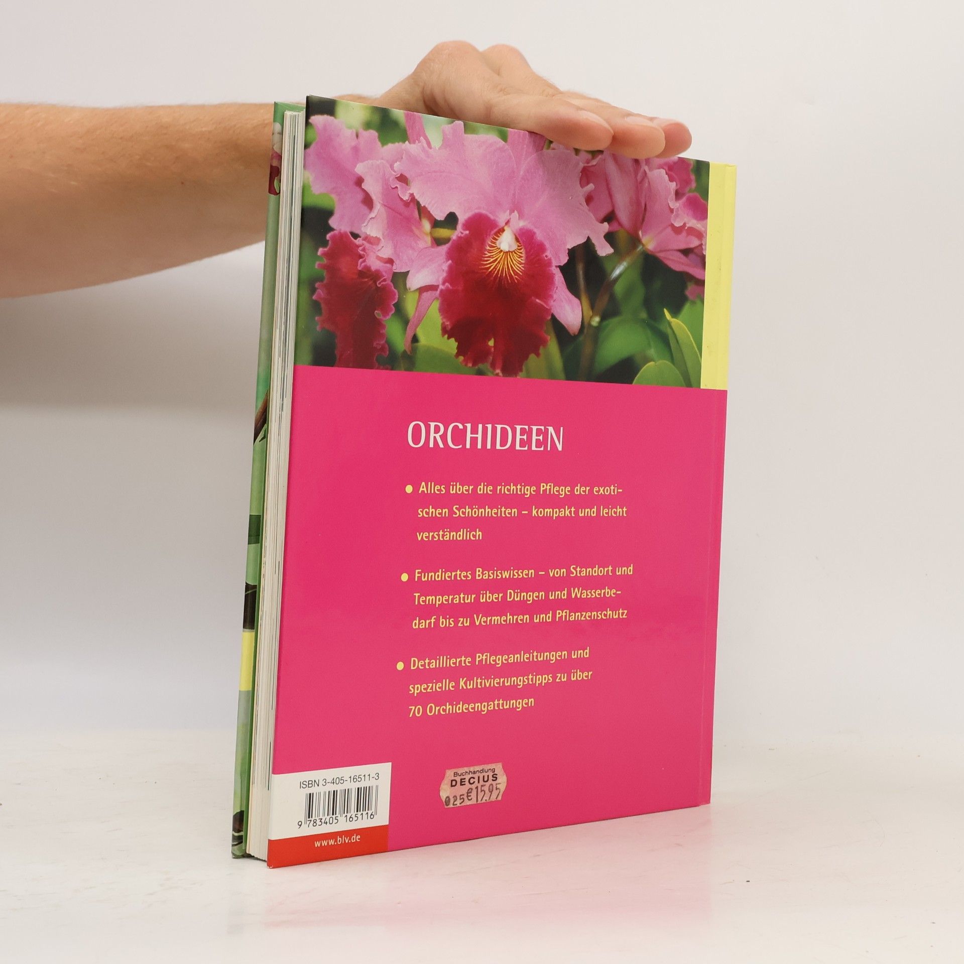 Brigitte Goede Orchideen