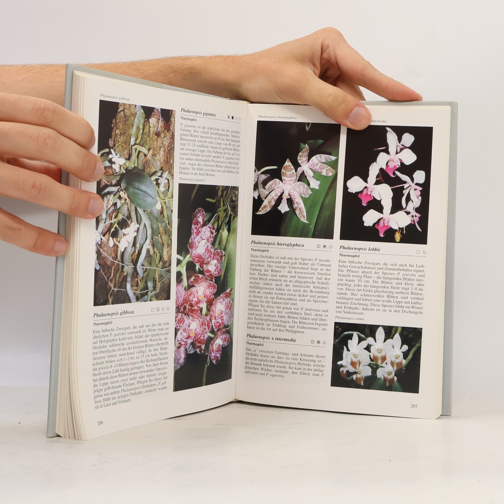 Zdeněk Ježek Orchideen-Enzyklopädie