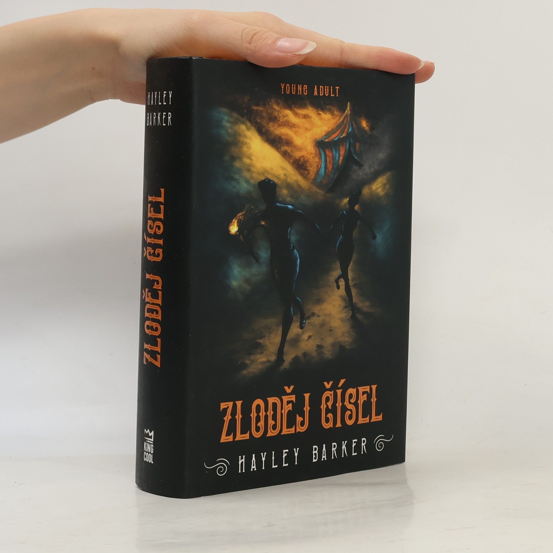 Hayley Barker Zloděj čísel