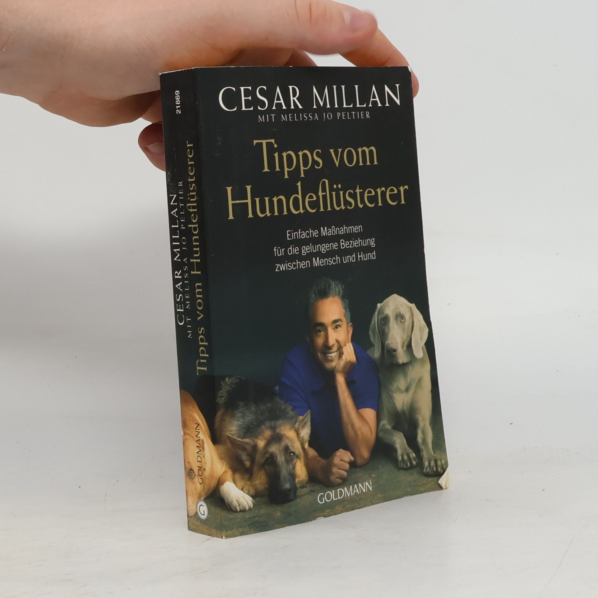 Cesar Millan Tipps vom Hundeflüsterer