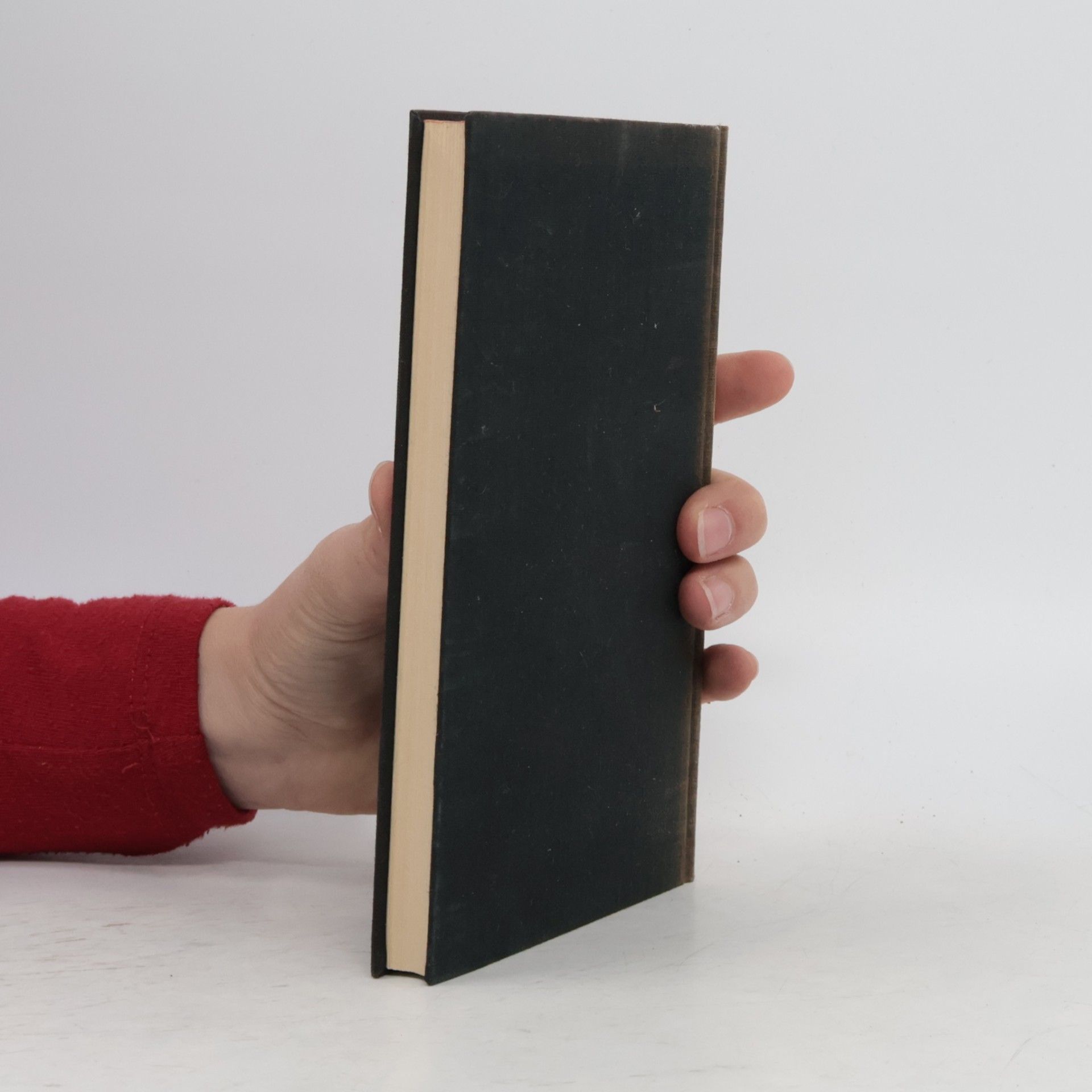 José Ortega y Gasset Vergangenheit und Zukunft im heutigen Menschen