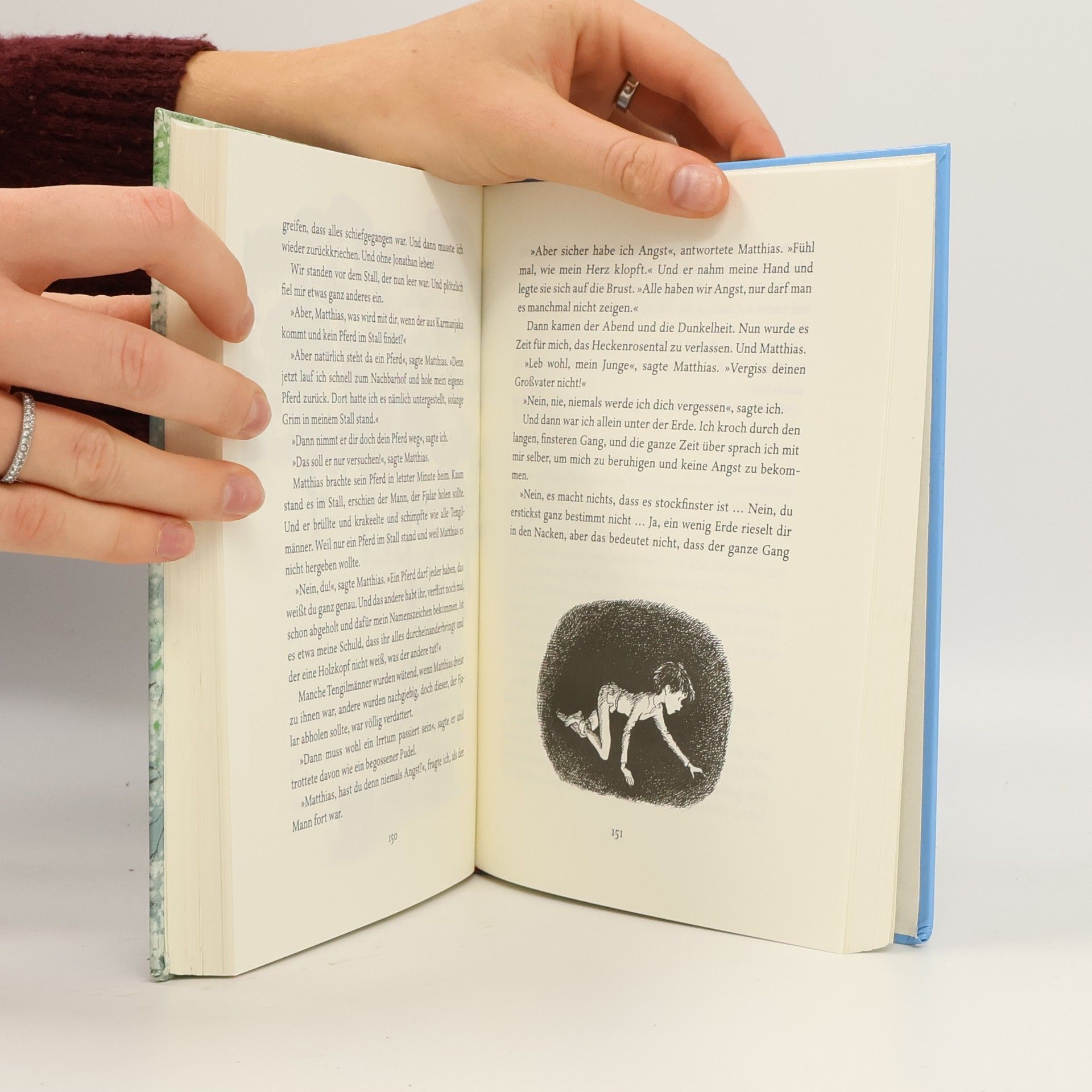 Astrid Lindgren Die Brüder Löwenherz