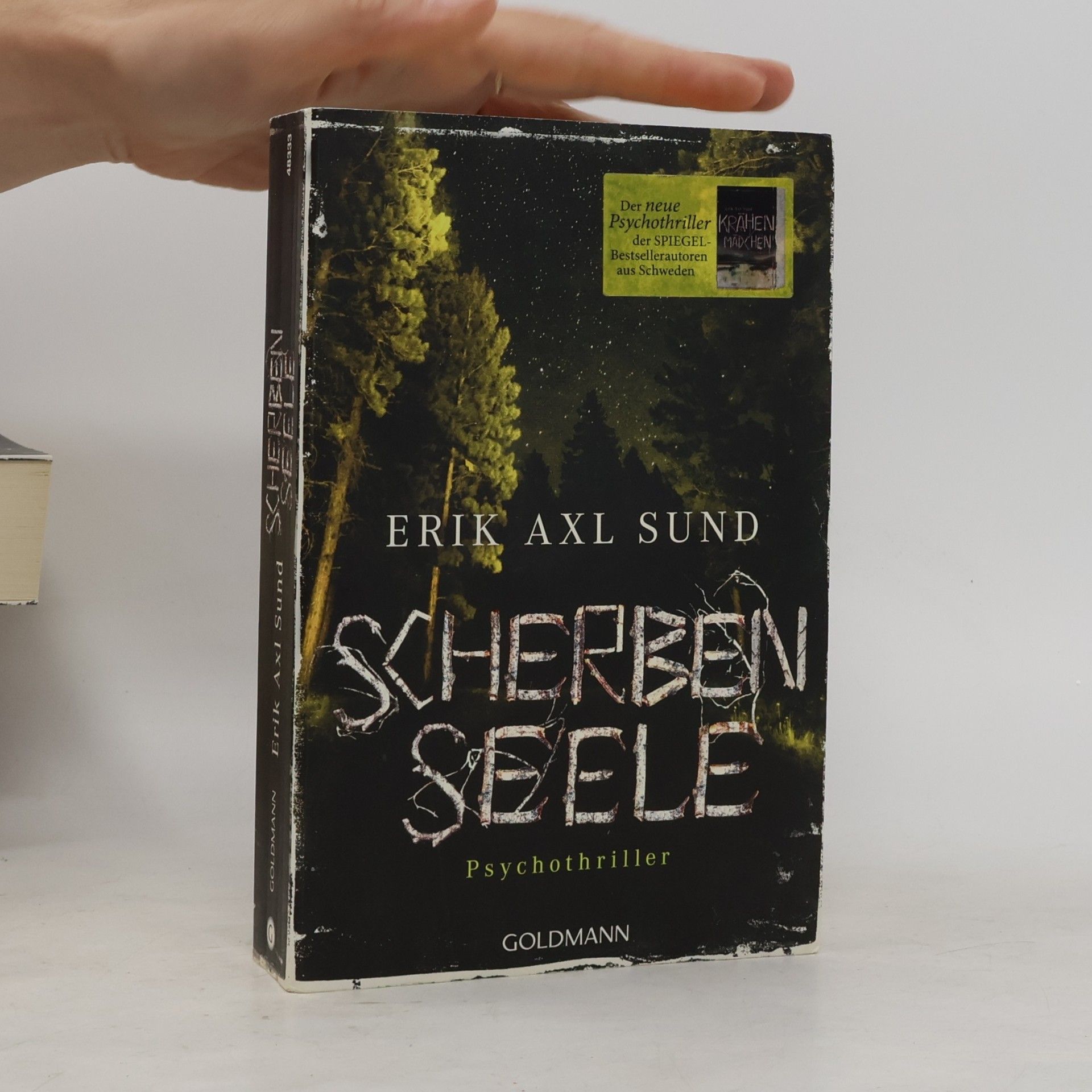 Erik Axl Sund Scherbenseele