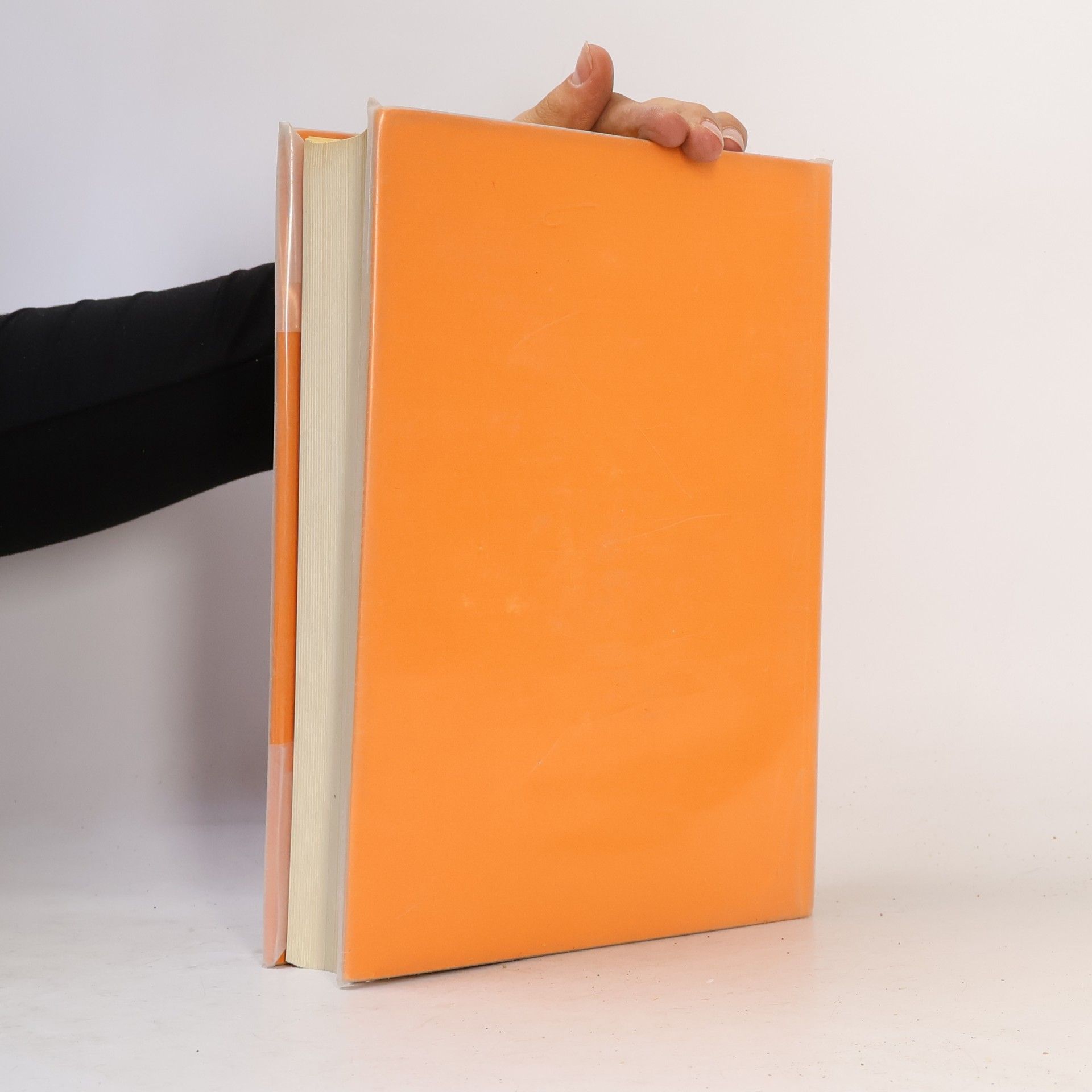 Kolektiv autorů Lehrbuch der Geburtshilfe II