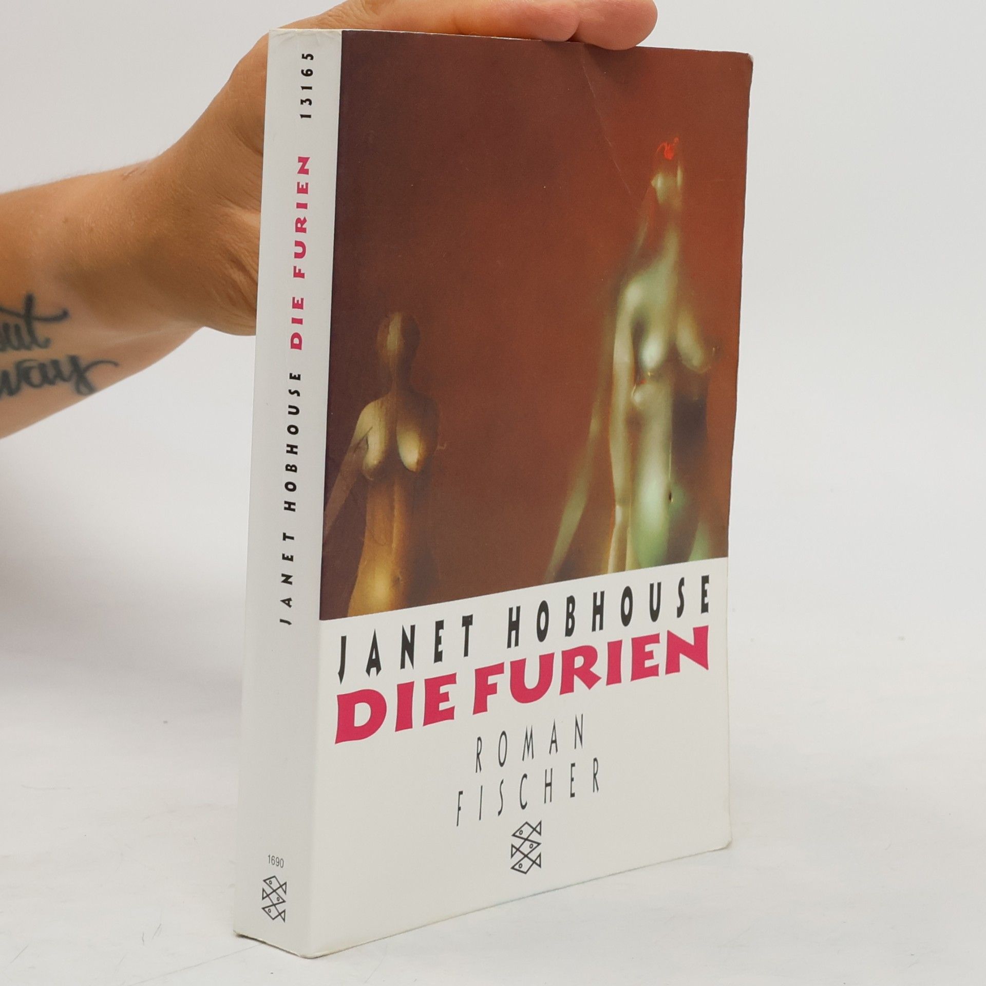 Janet Hobhouse Die Furien