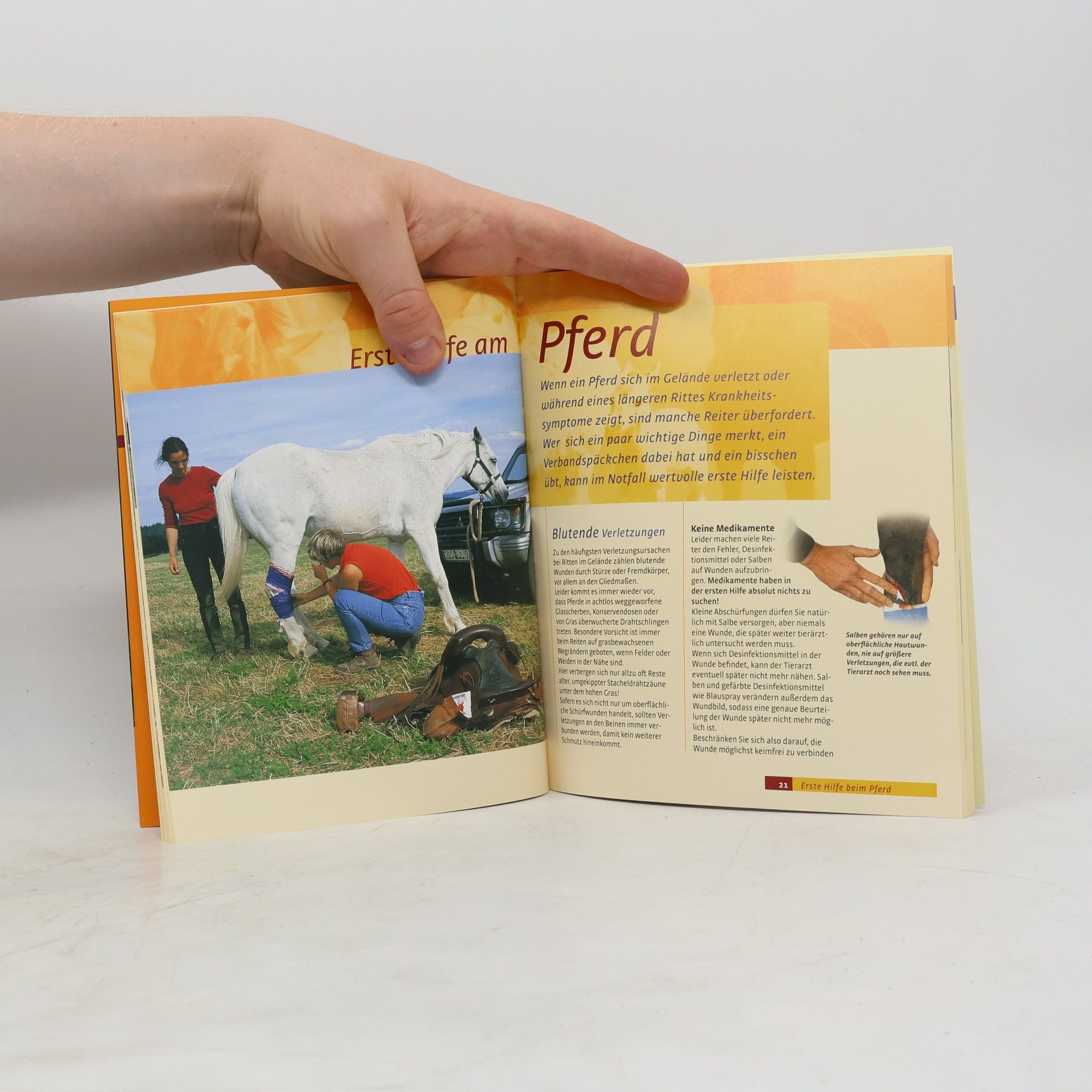 Gisela Rau Notfallhandbuch für Geländereiter