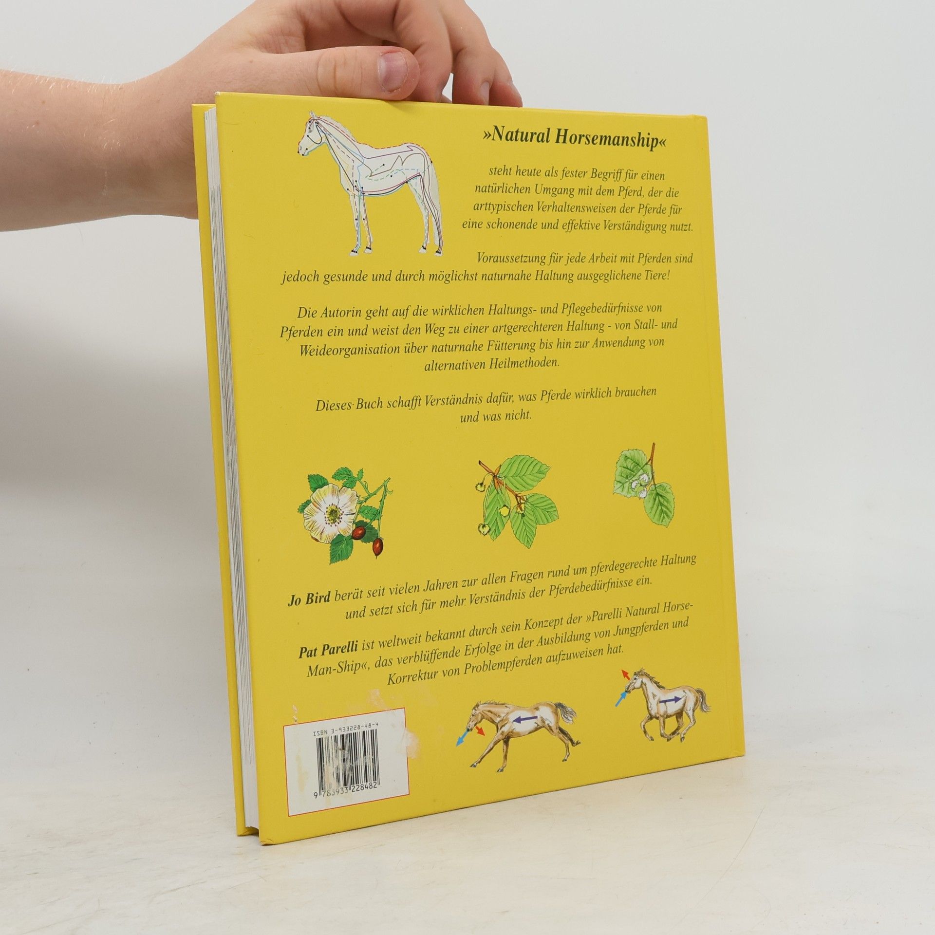 Jo Bird Natural horsemanship in Haltung und Pflege