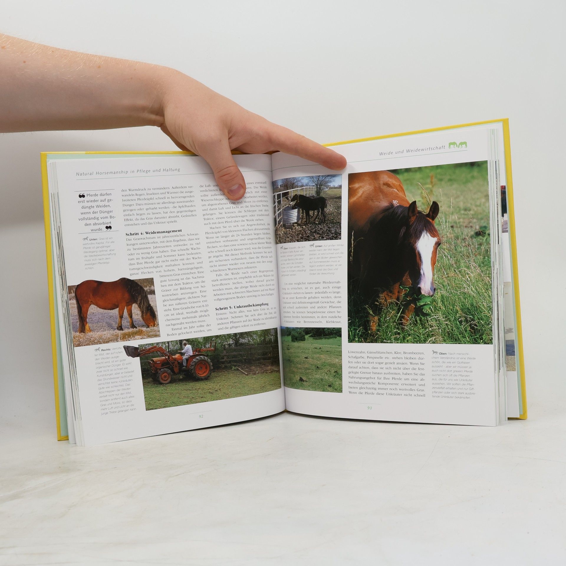 Jo Bird Natural horsemanship in Haltung und Pflege