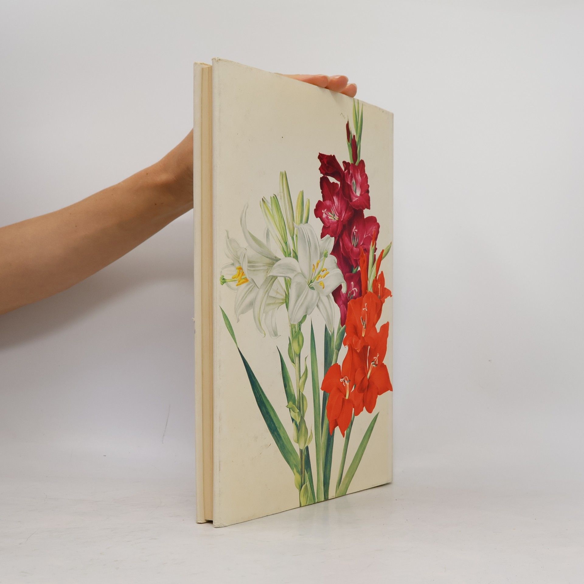 Kolektiv autorů Unsere schönsten Gartenblumen